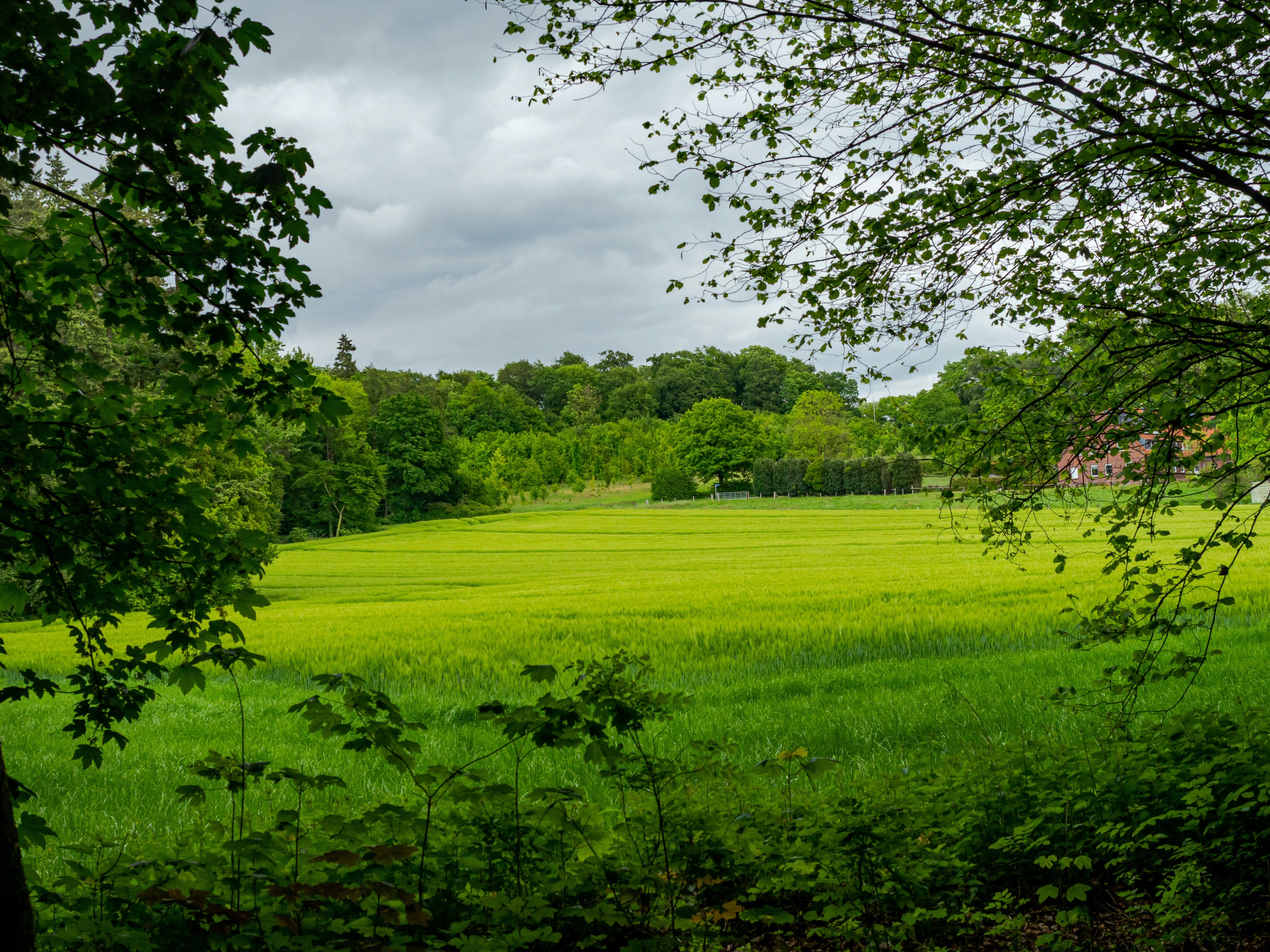 Photo by skstrannik