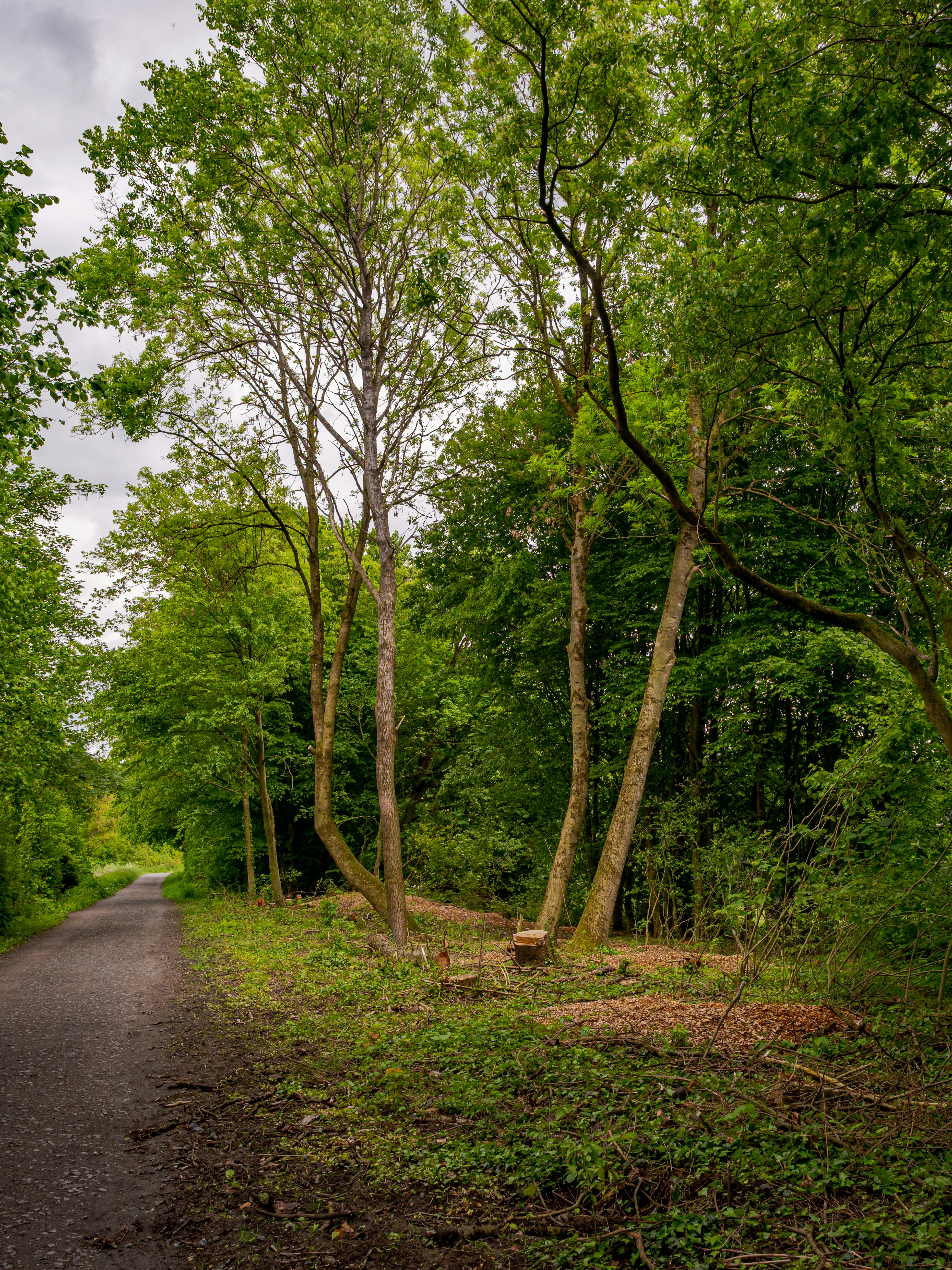 Photo by skstrannik