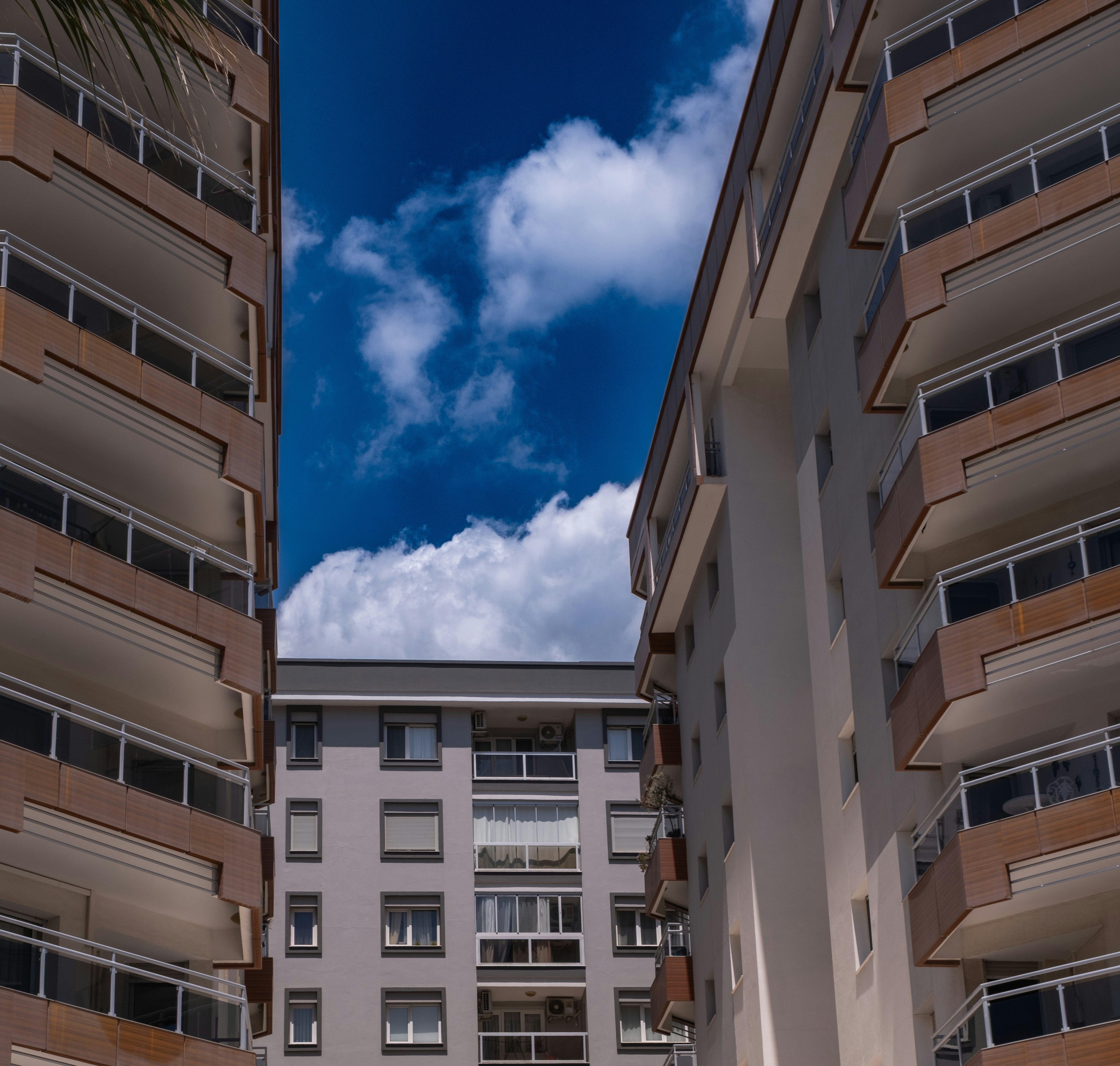 Photo by izafi