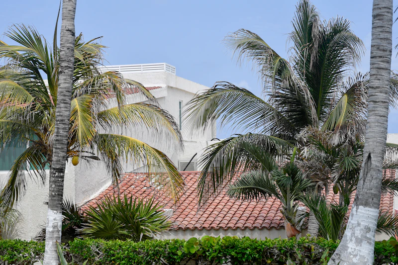 Best Rainy Day Activities in Cancun When the Weather Turns