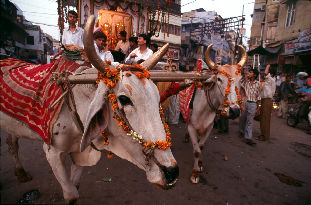 Sonepur