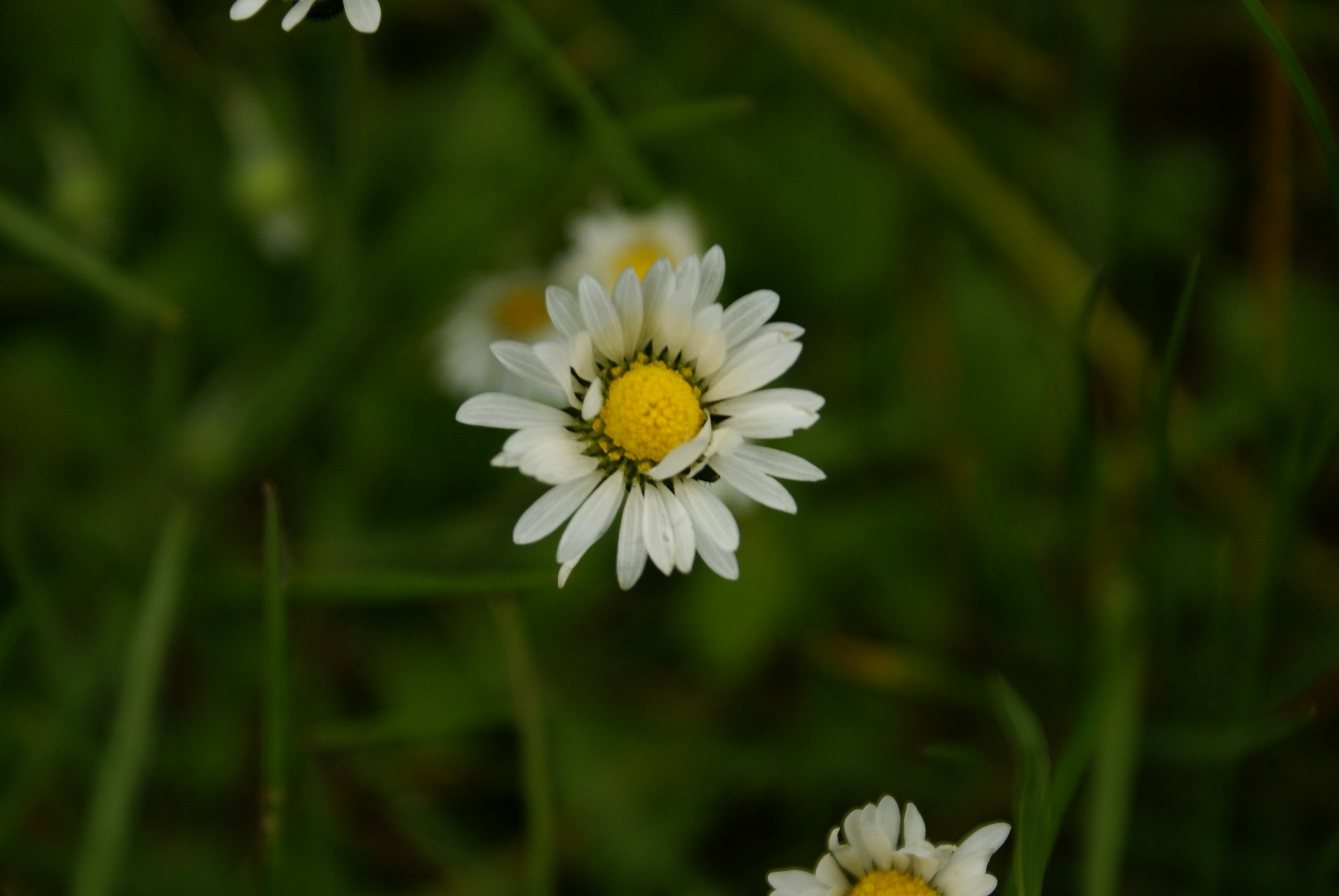 Photo by jakug204