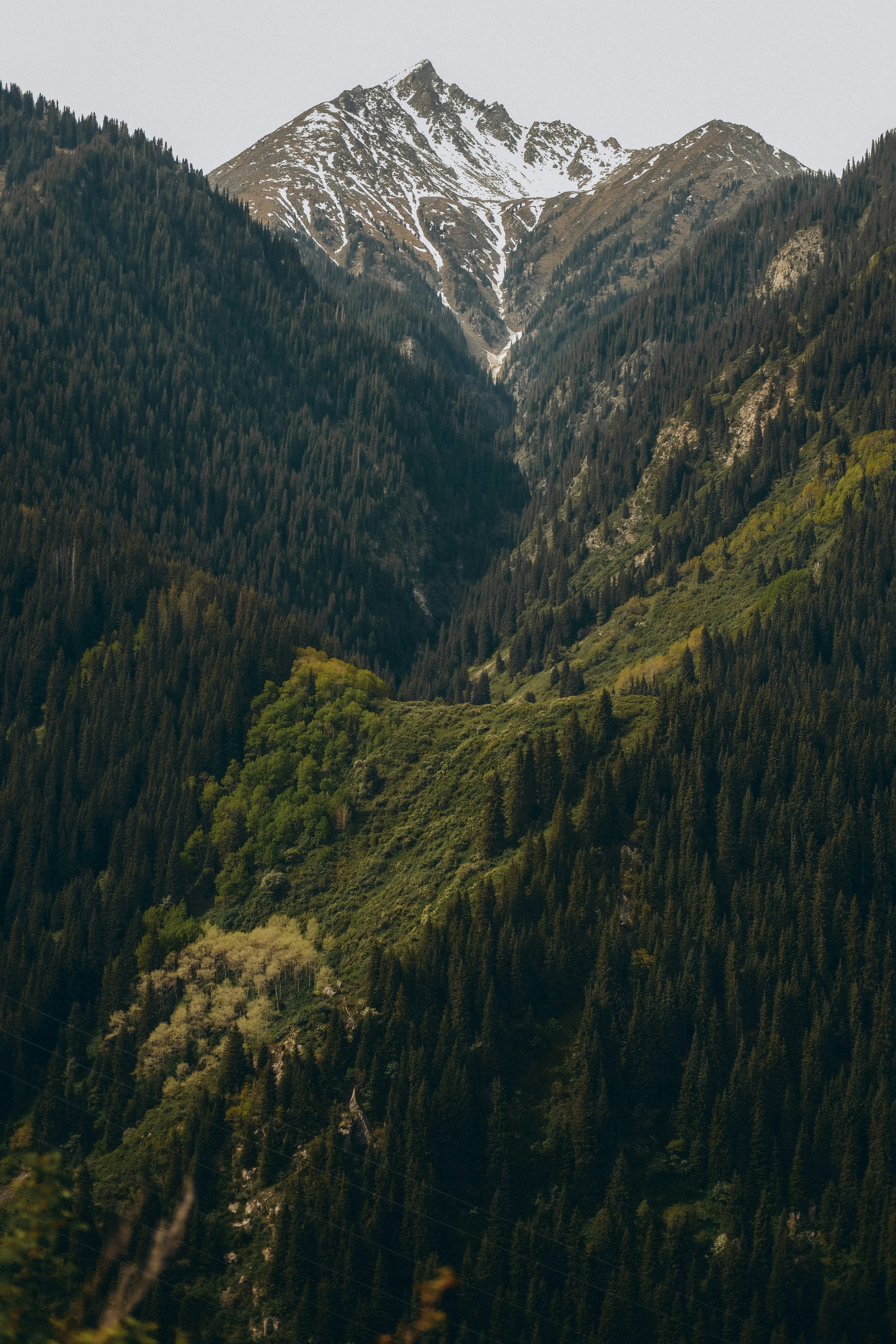 Photo by katishna