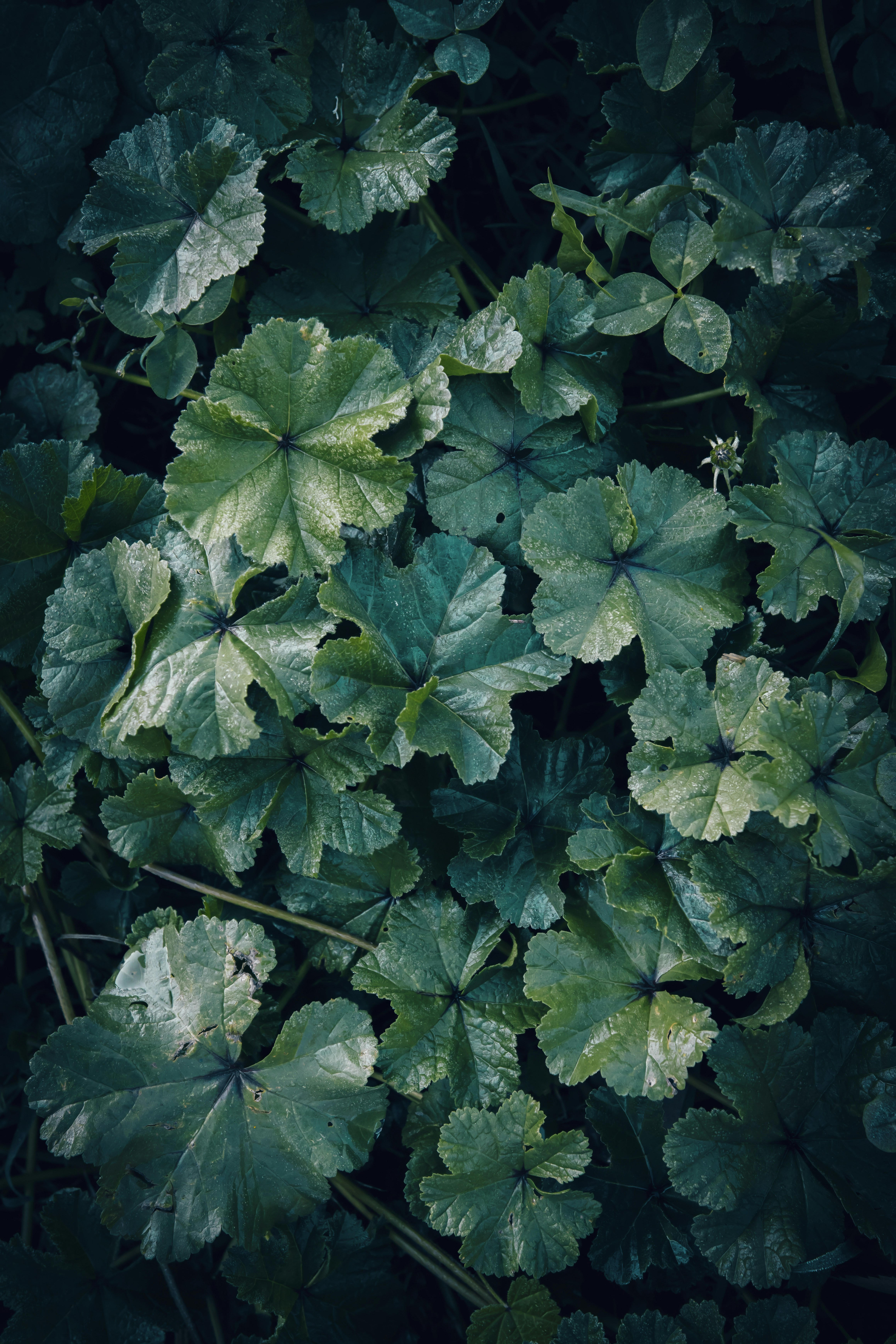 Photo by wyxina
