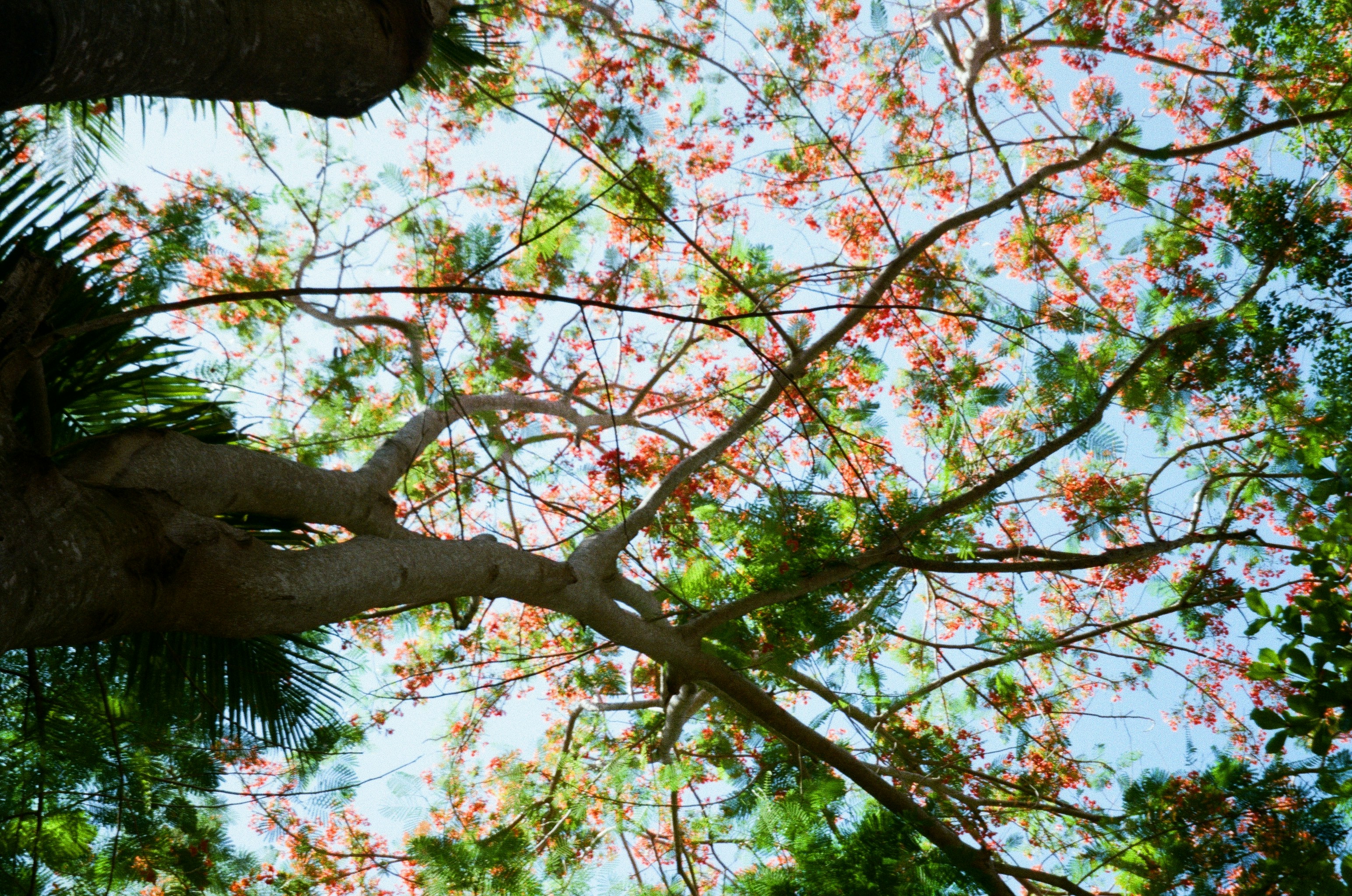 Photo by thesmolbeann