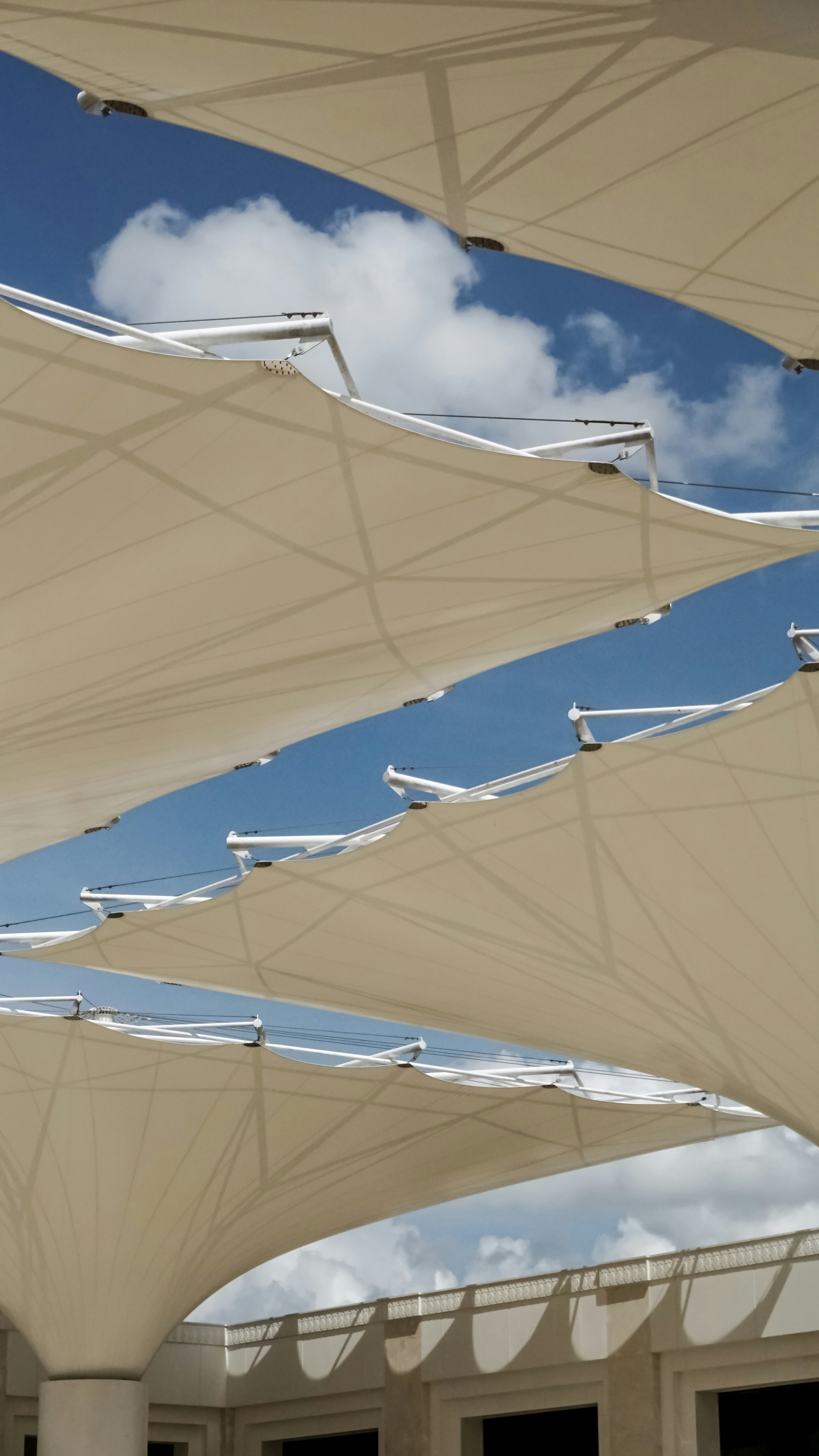 Architectural tensile canopy under a clear blue sky