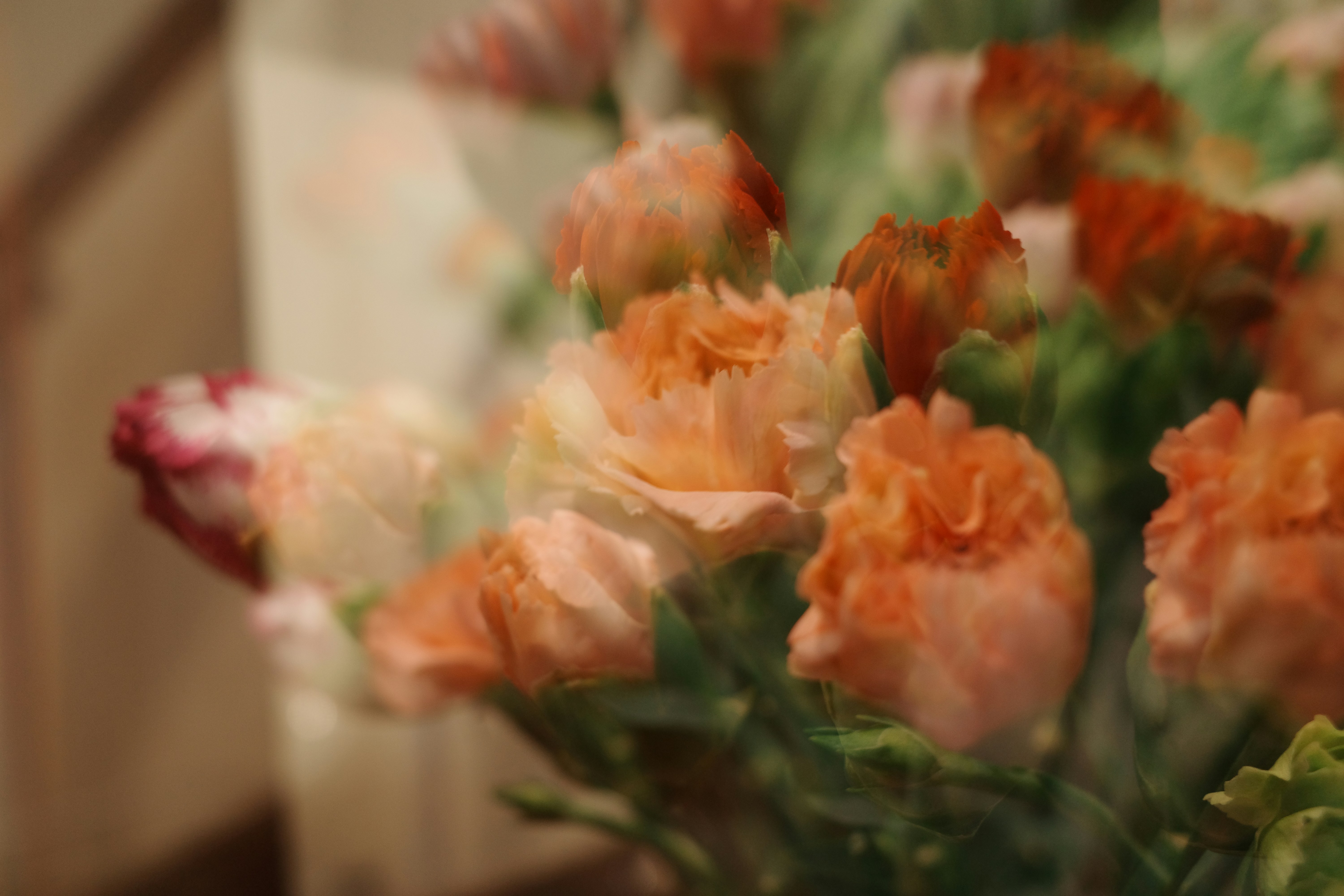 Photo by ngnng
