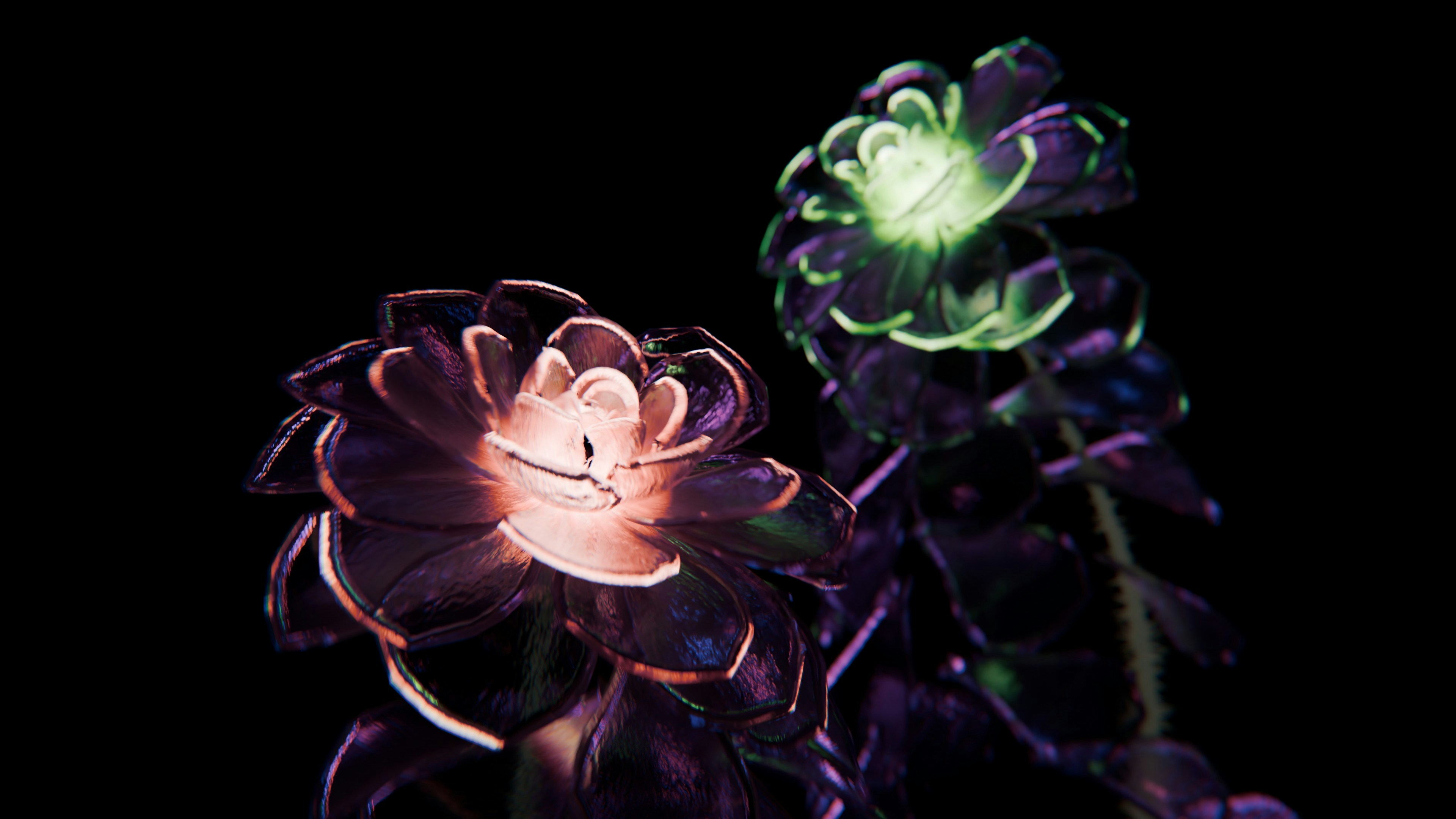 Vibrant glowing pink and green flowers against a dark background.