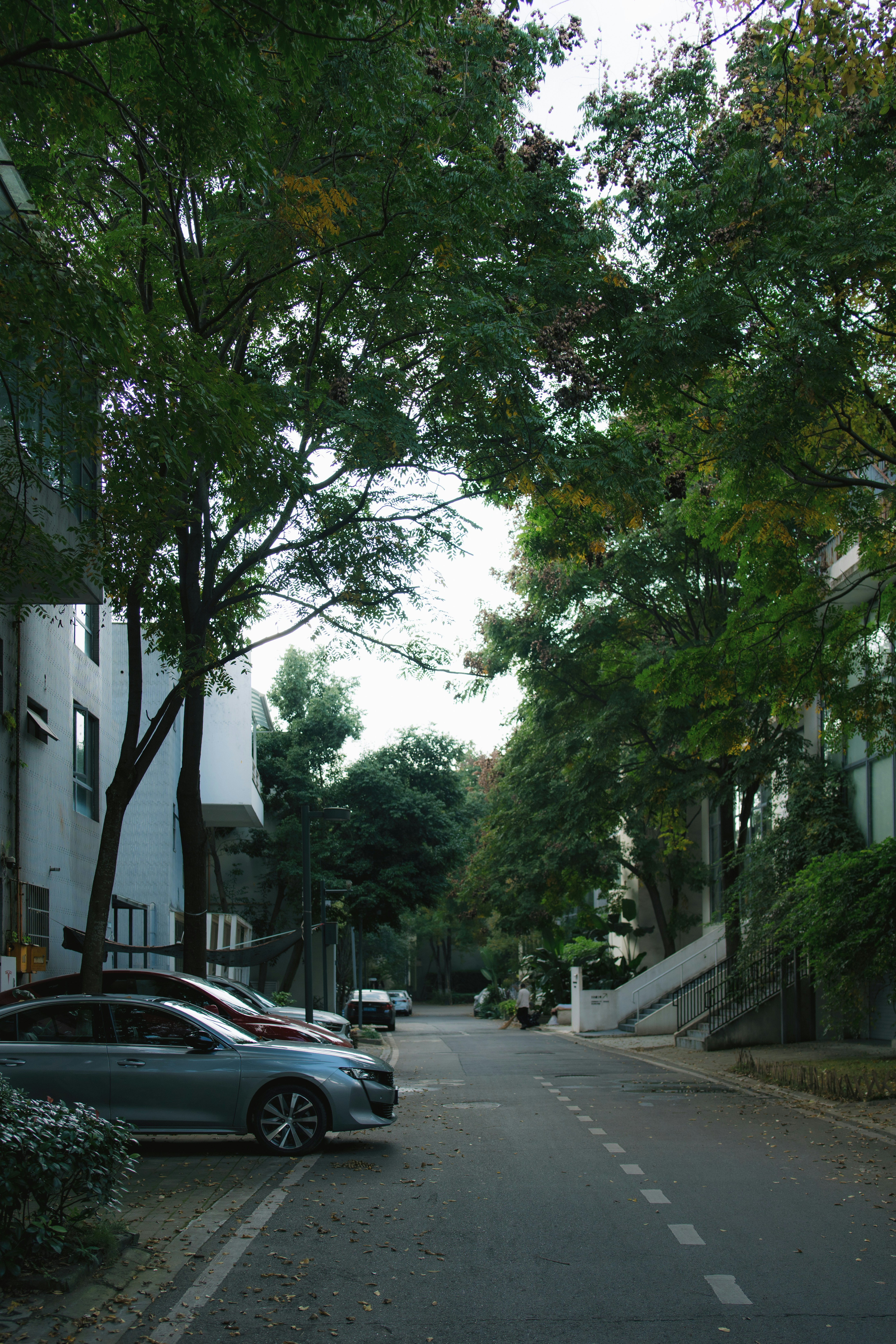 Photo by leongsan