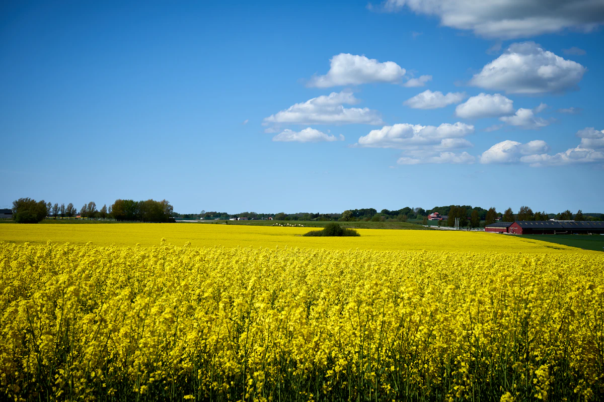Skåne