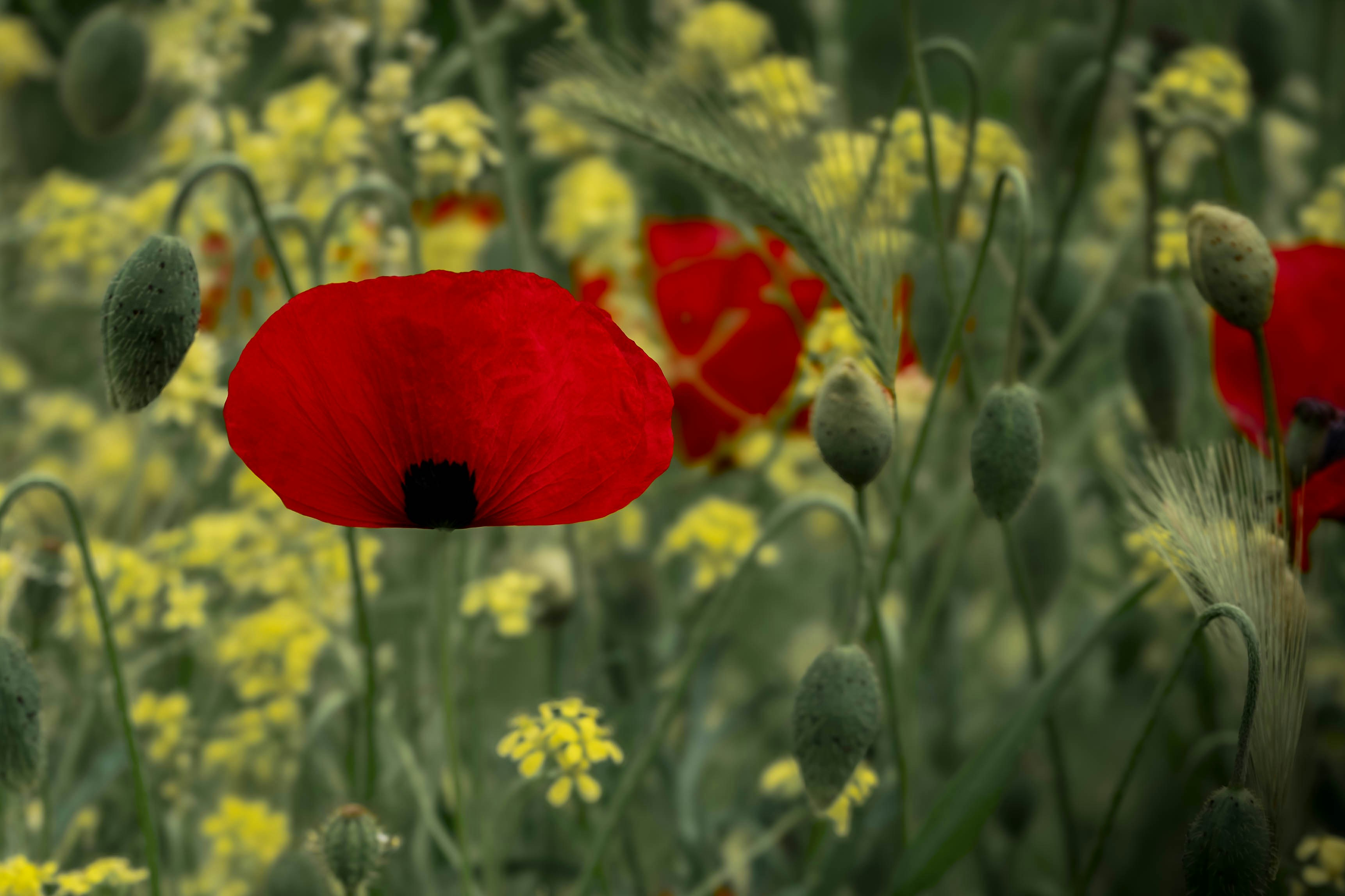 Photo by maviatlas