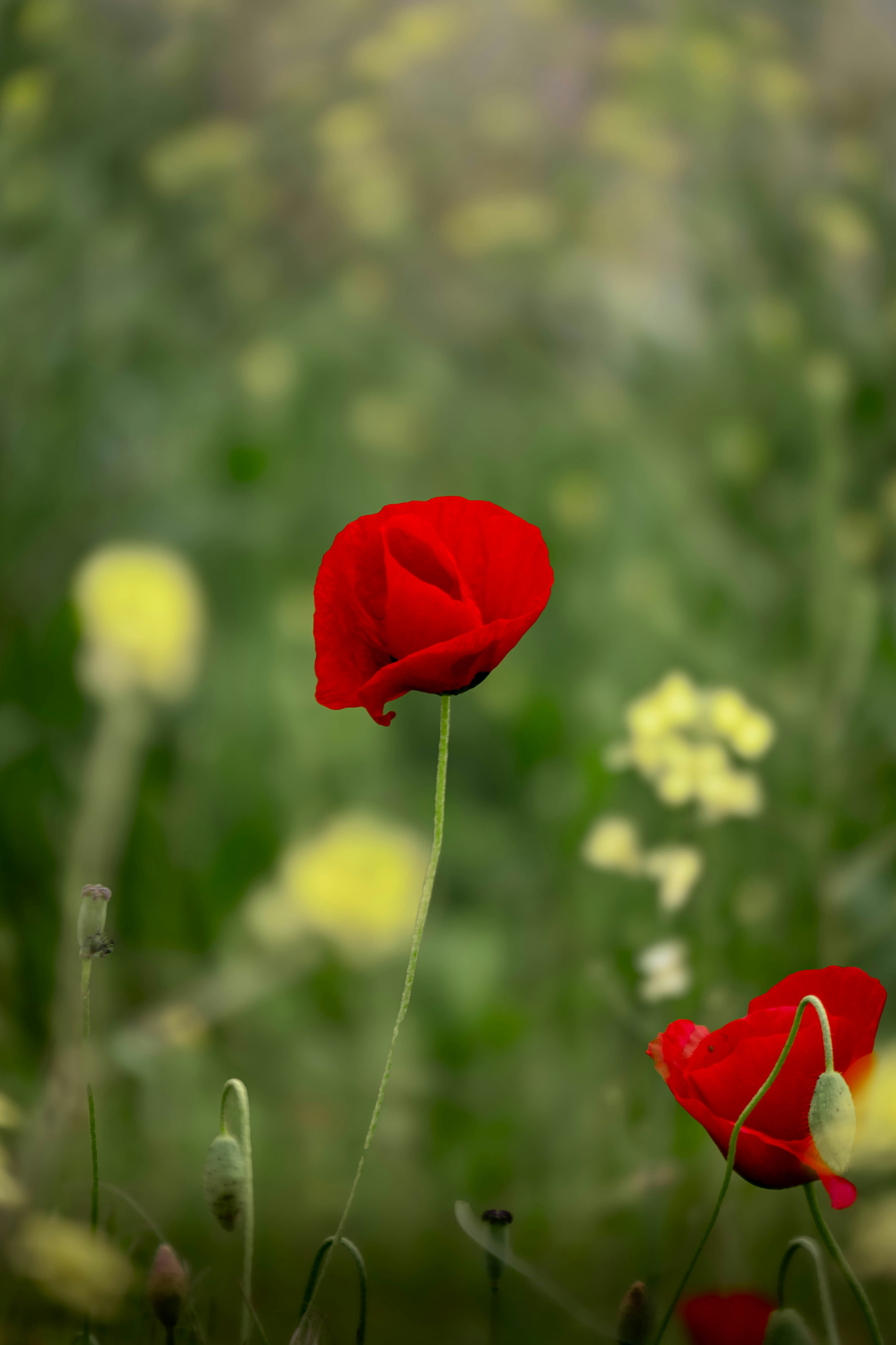 Photo by maviatlas