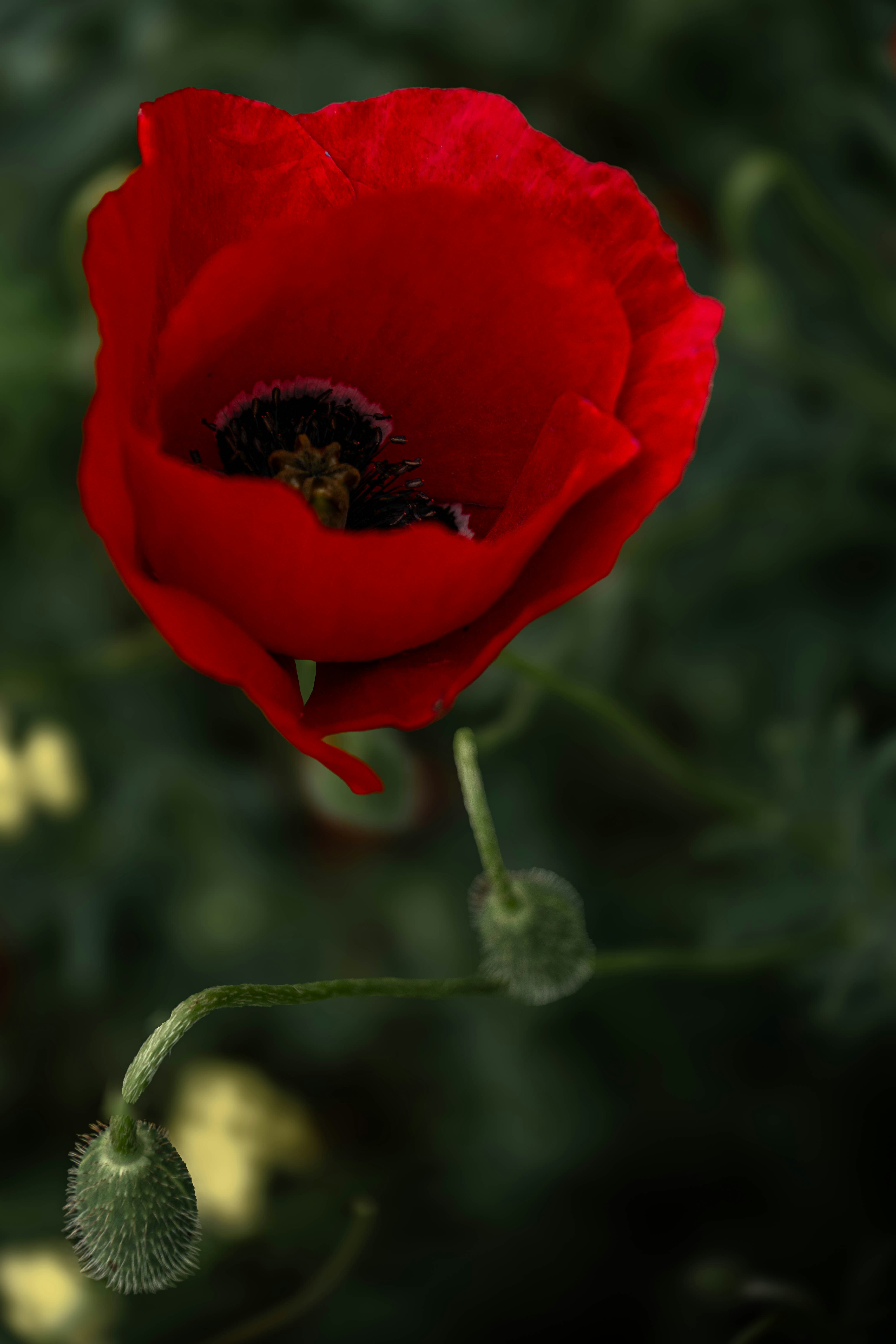 Photo by maviatlas