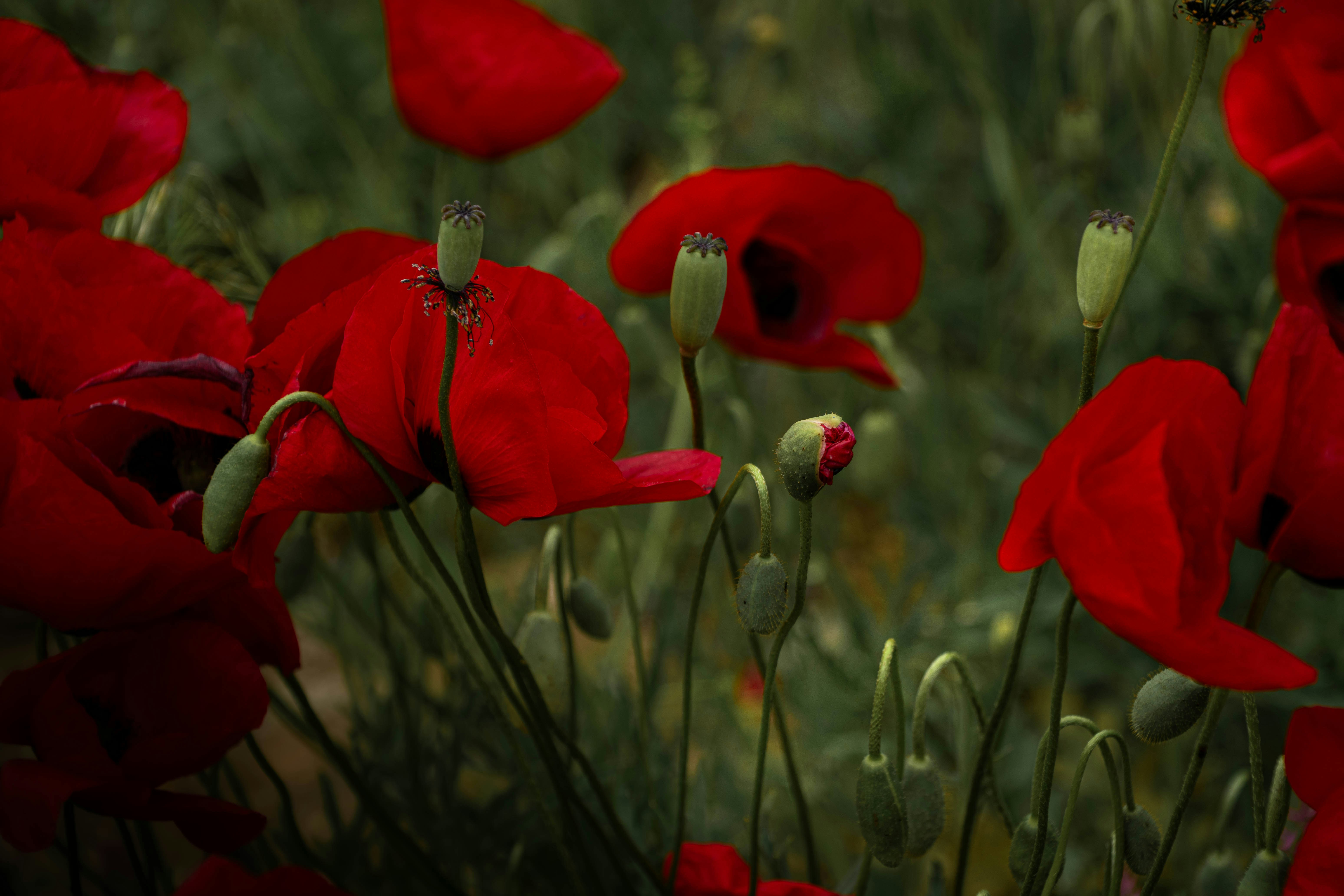 Photo by maviatlas
