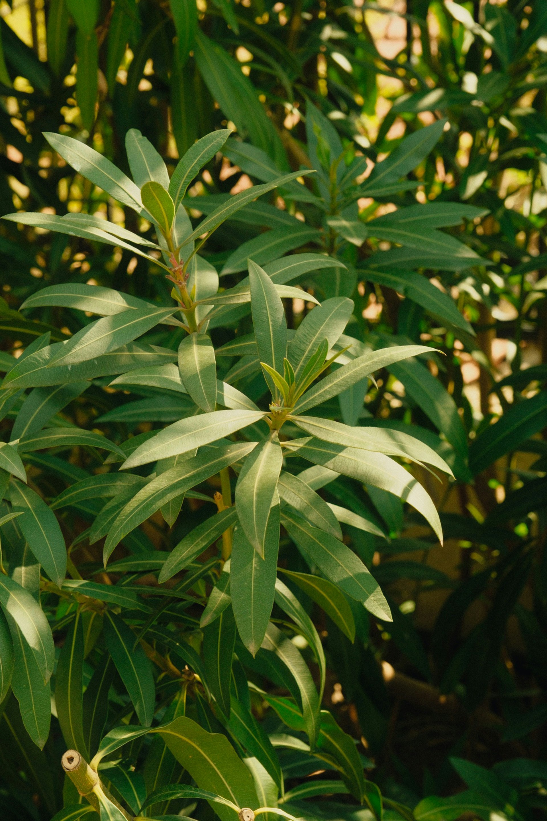 Photo by gokhannn
