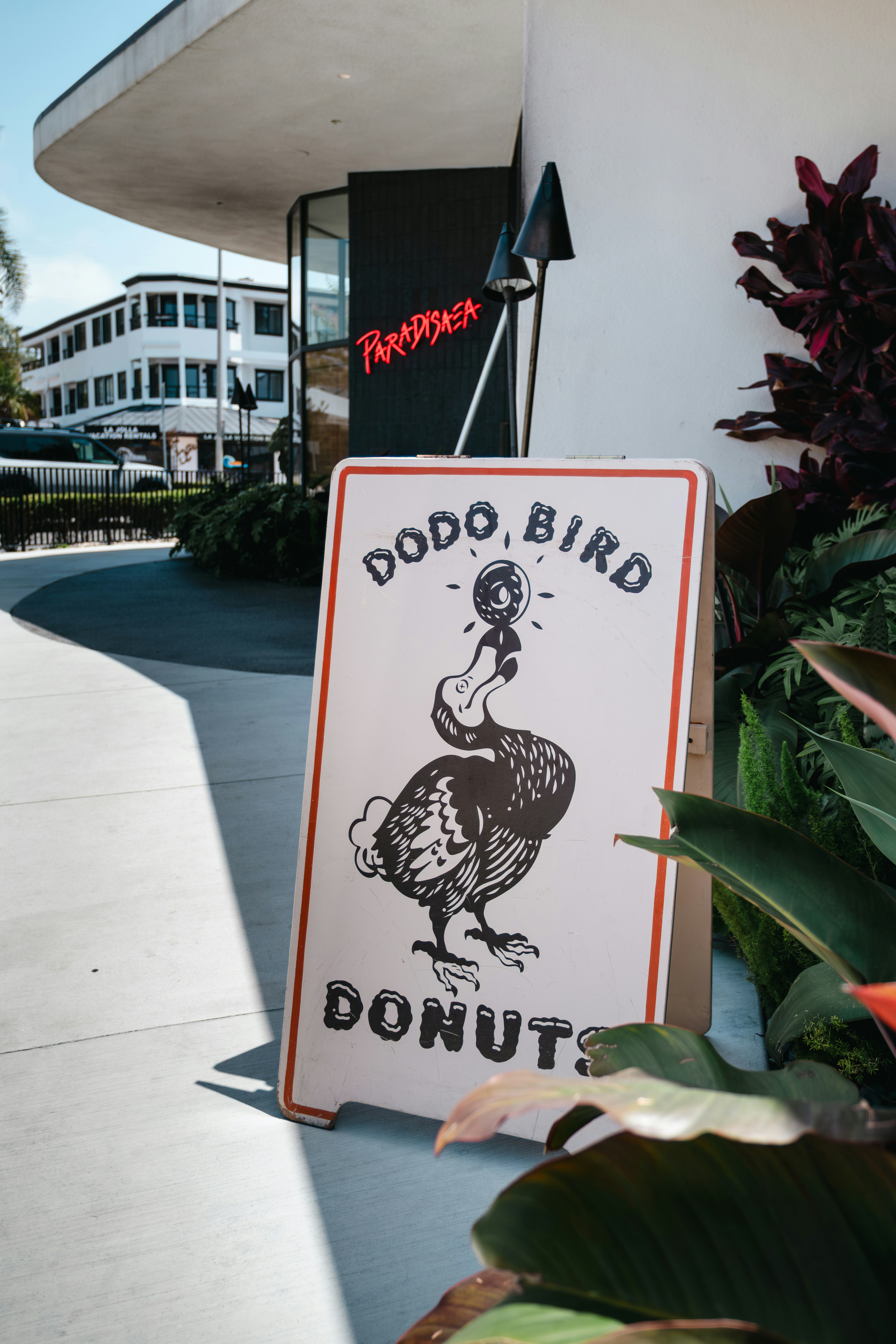 Dodo Pictures | Download Free Images on Unsplash