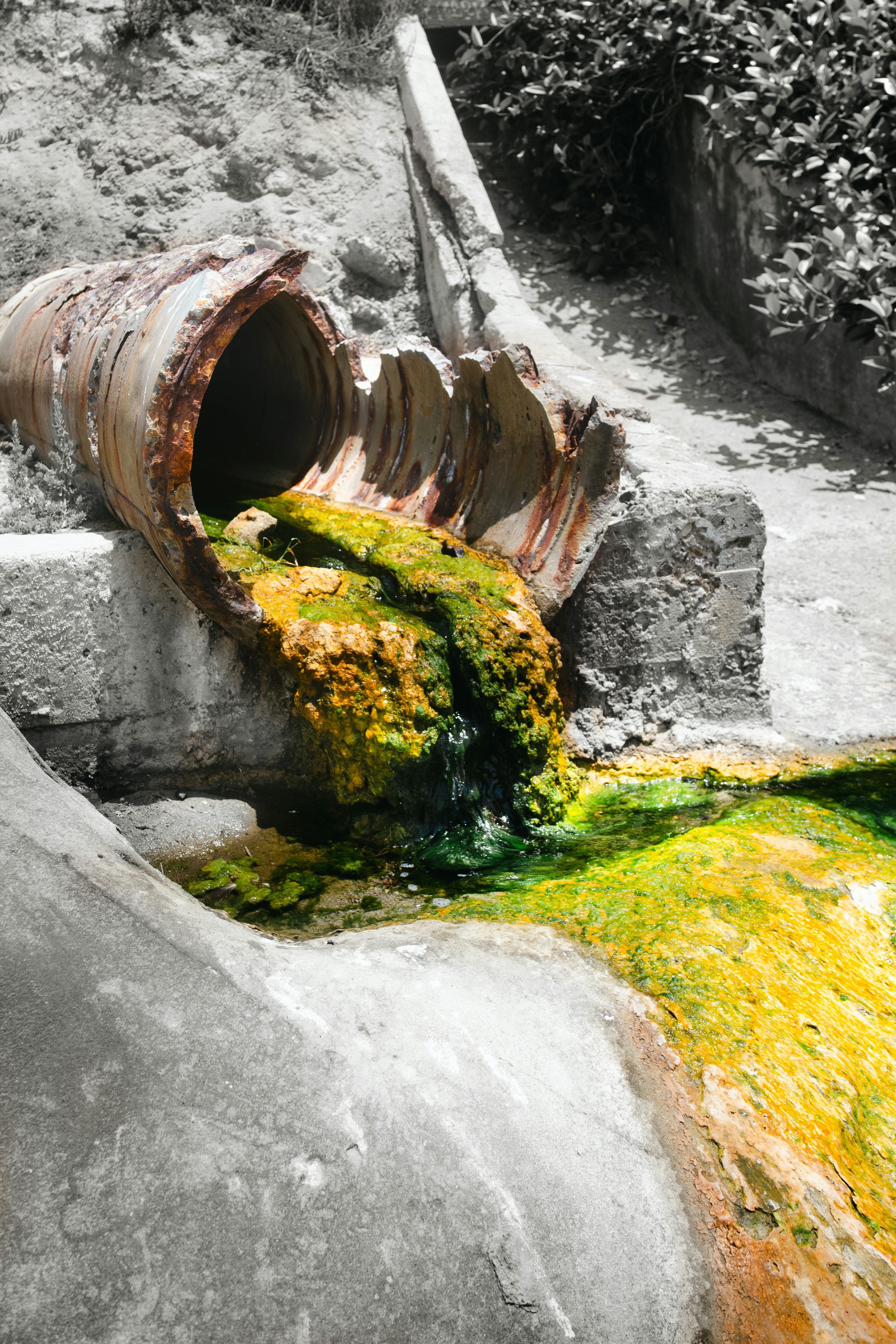 Rusty pipe discharging vibrant green and yellow liquid.
