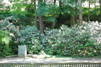 Green hillside with flowering bushes and a stone monument