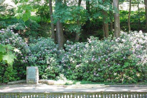 Green hillside with flowering bushes and a stone monument