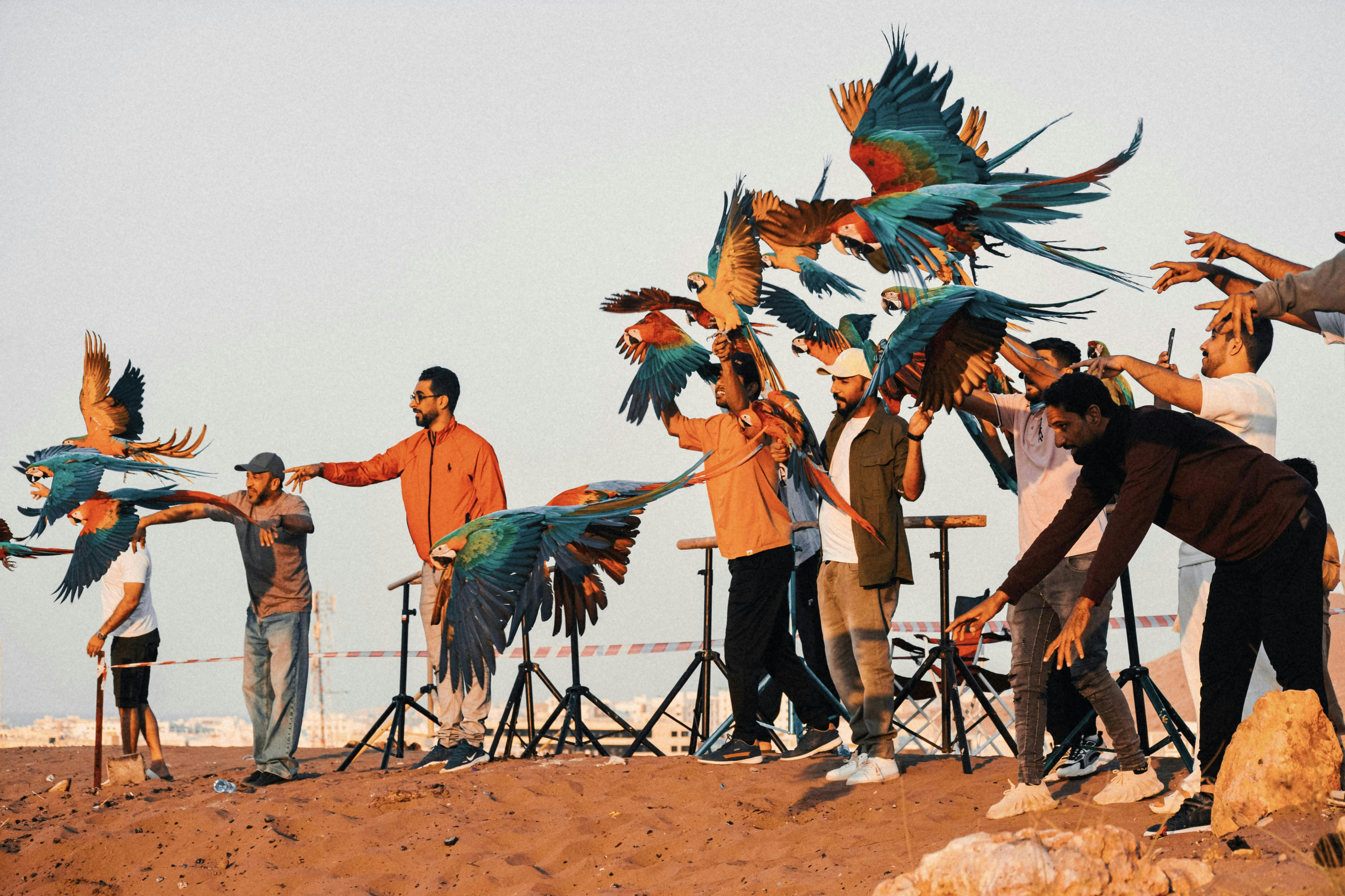 How to Teach a Bird to Dance with Positive Training