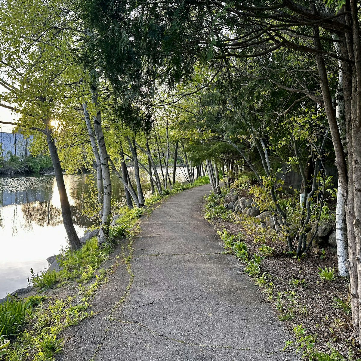 The paved river trail at Two Rivers Park beside the water.