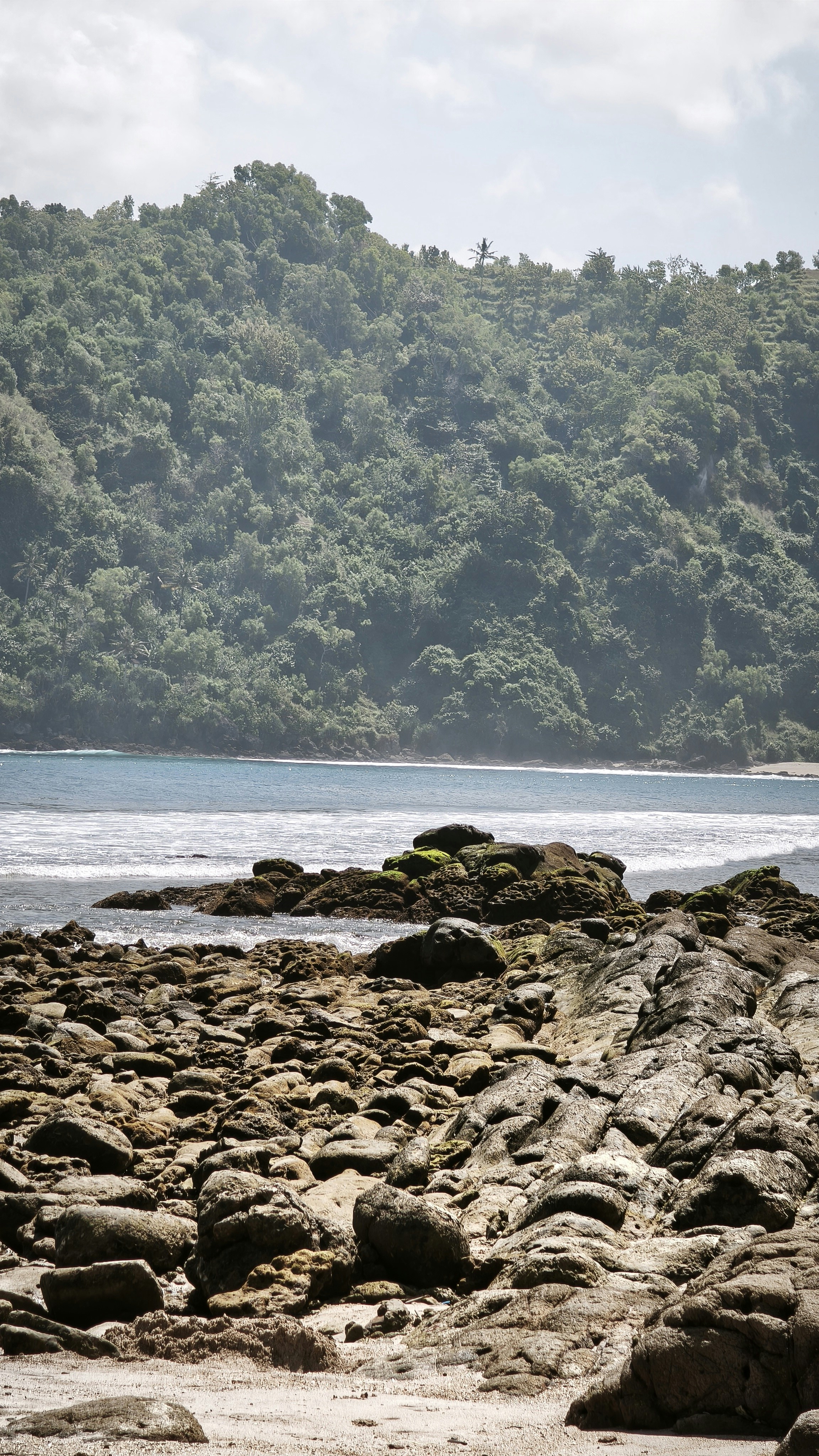 Photo by dilabrr