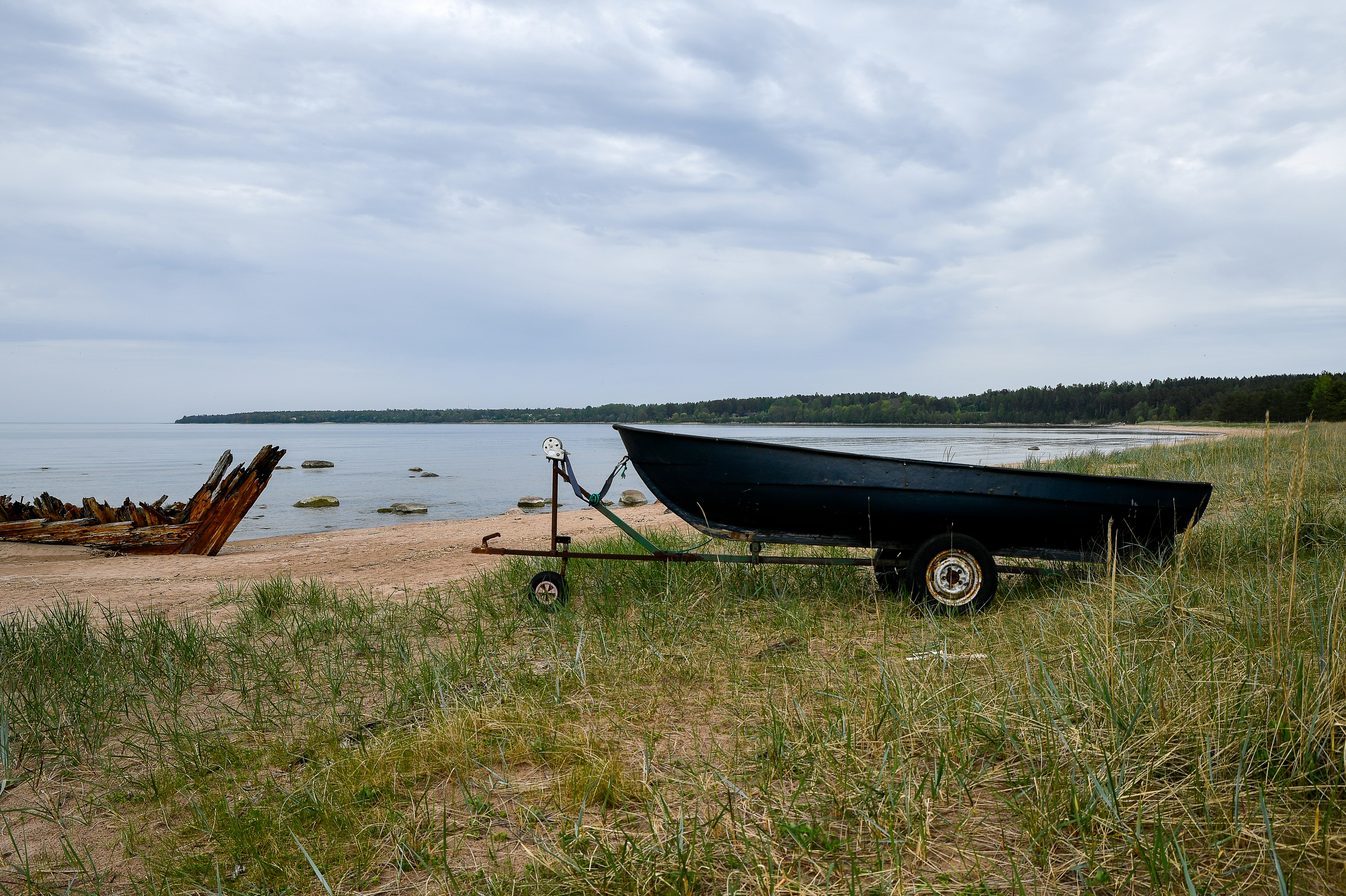 Dark aluminum skiff on a trailer parked in beach grass at the edge of a calm shoreline