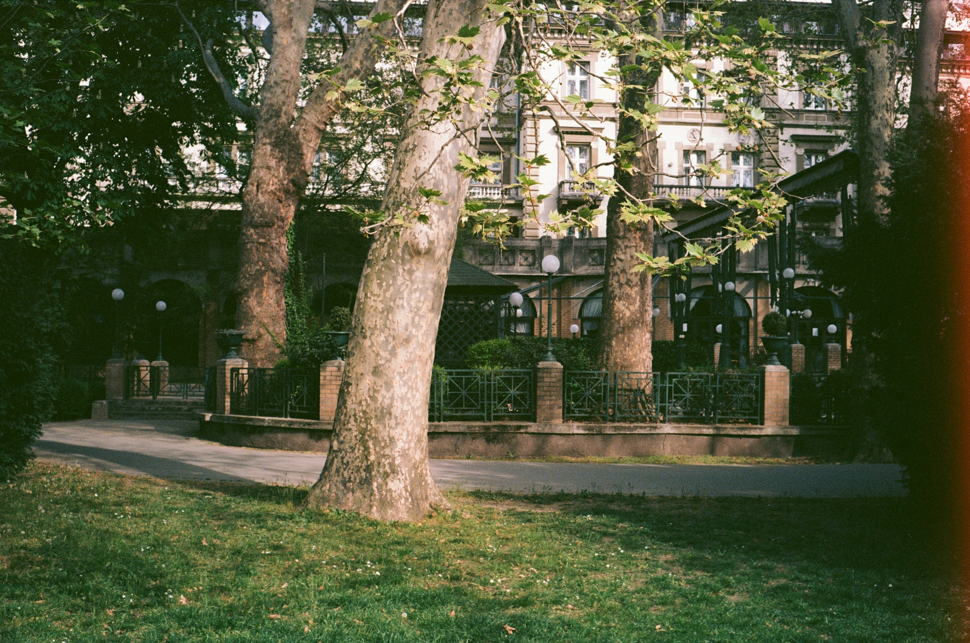 Photo by kornyeir