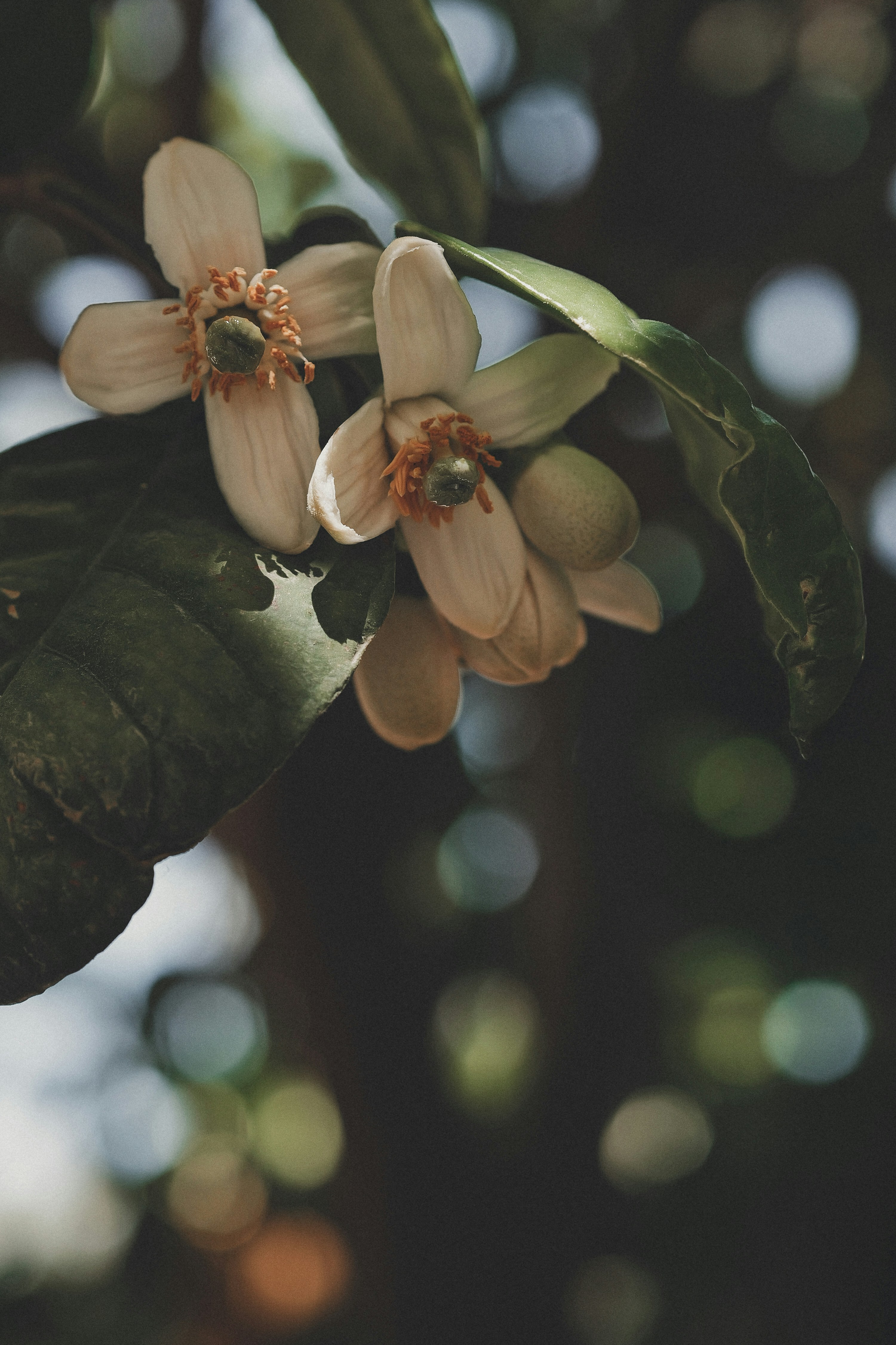 Photo by anyachernykh