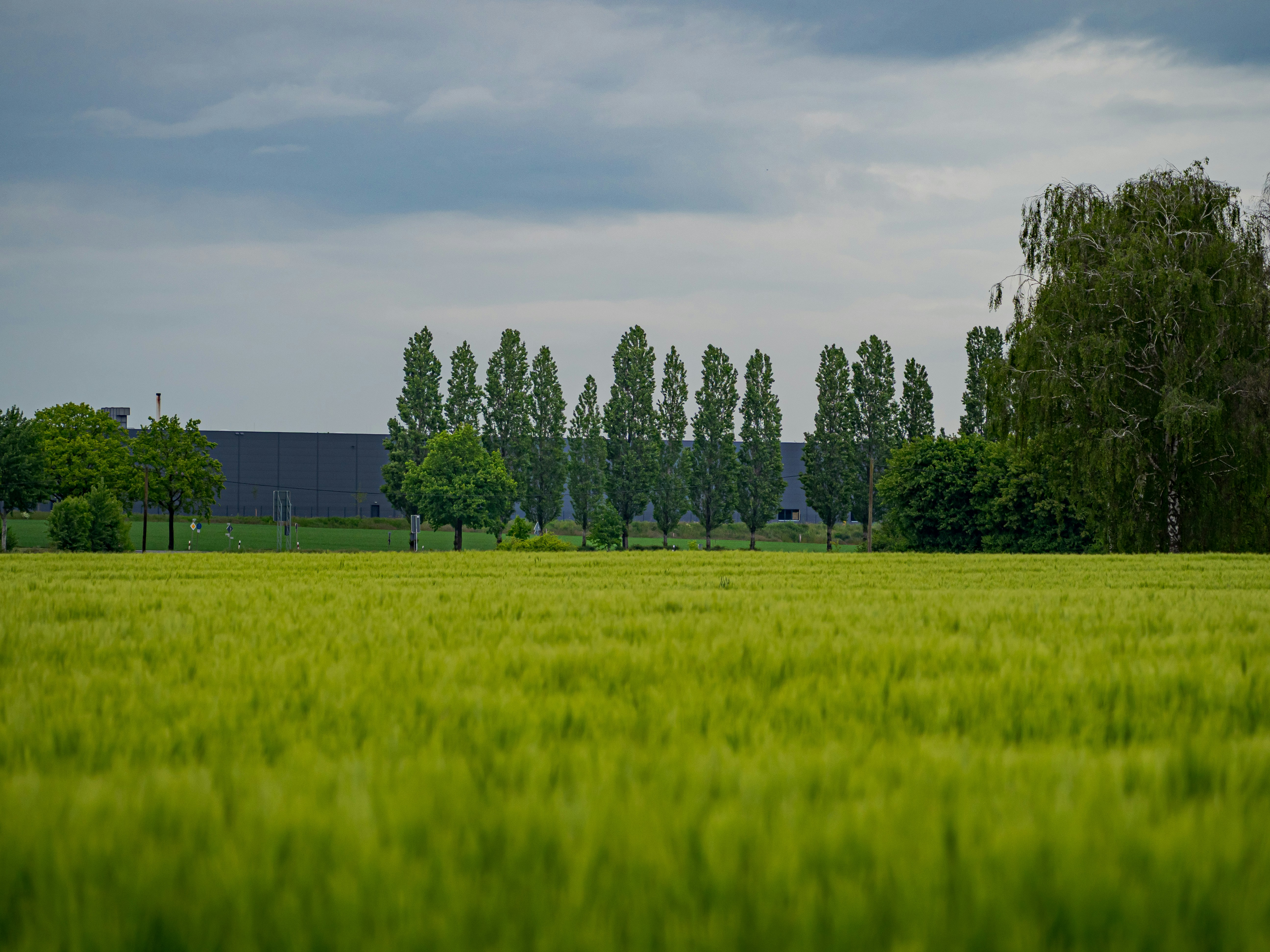 Photo by skstrannik