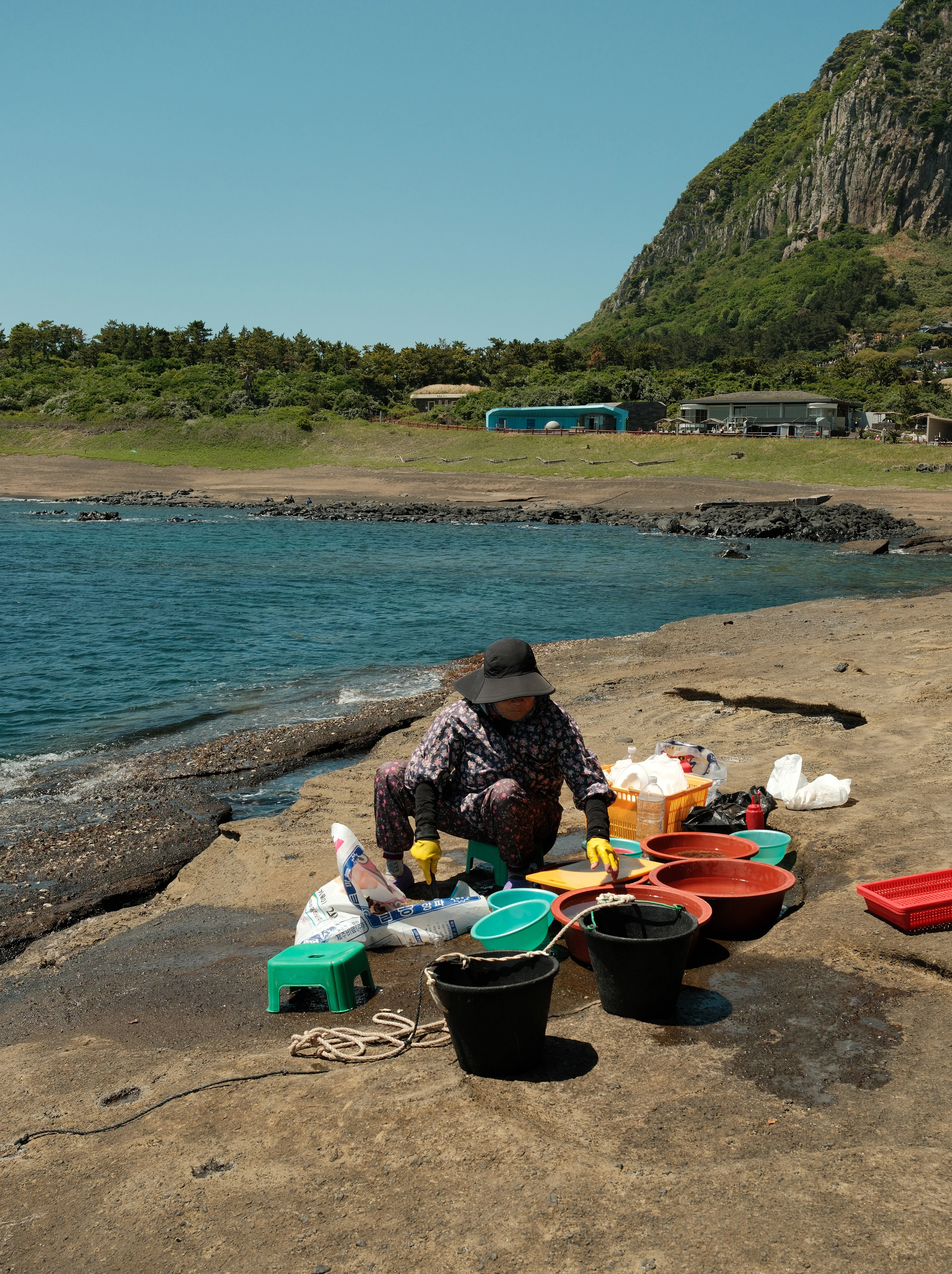 A woman in a wide sun hat sorting the morning's catch into coloured basins and buckets on the volcanic rock shelf of Jeju's Yongmeori Coast, a wooded headland rising behind her above the blue sea.