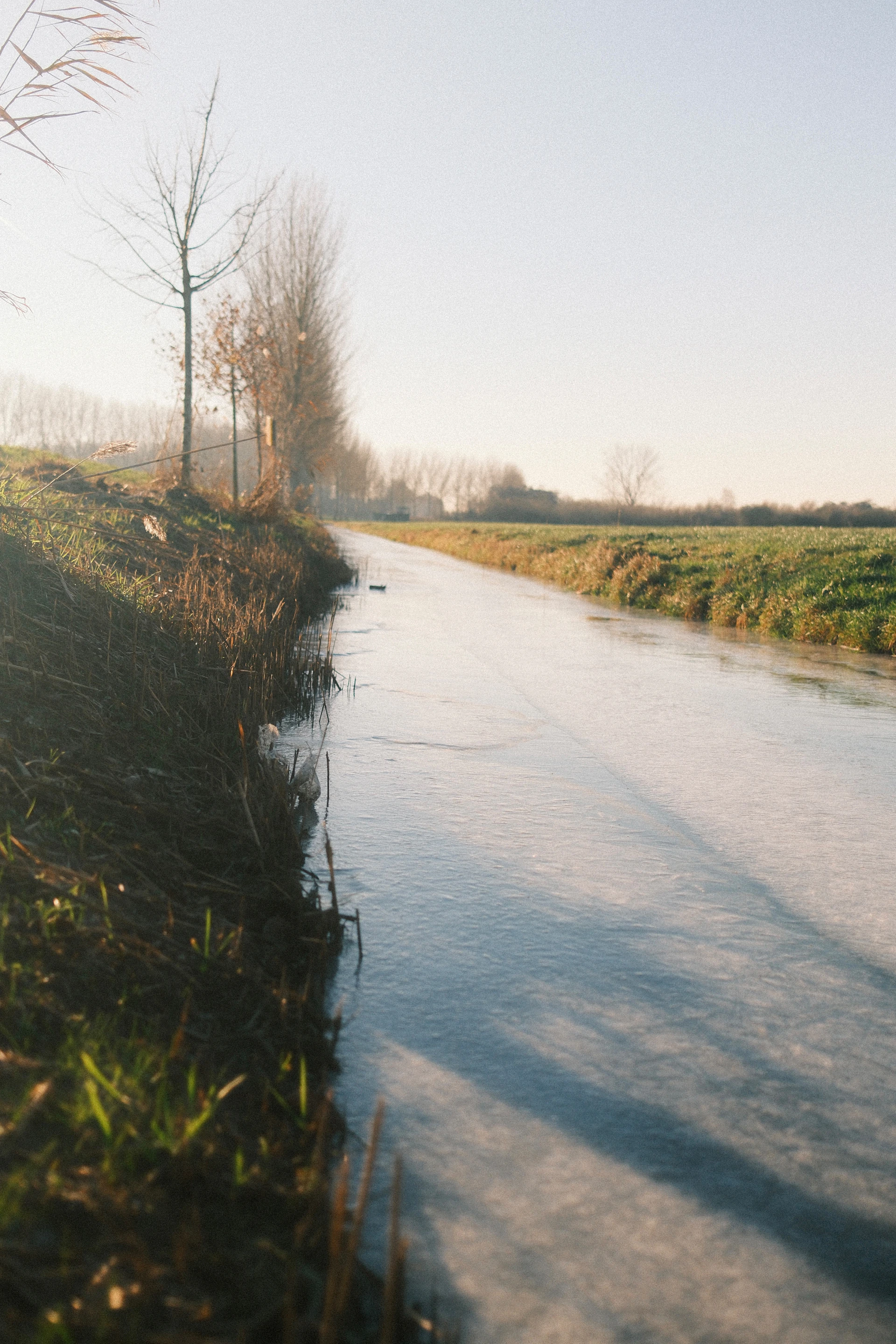 A frozen canal with bare trees and grassy banks.