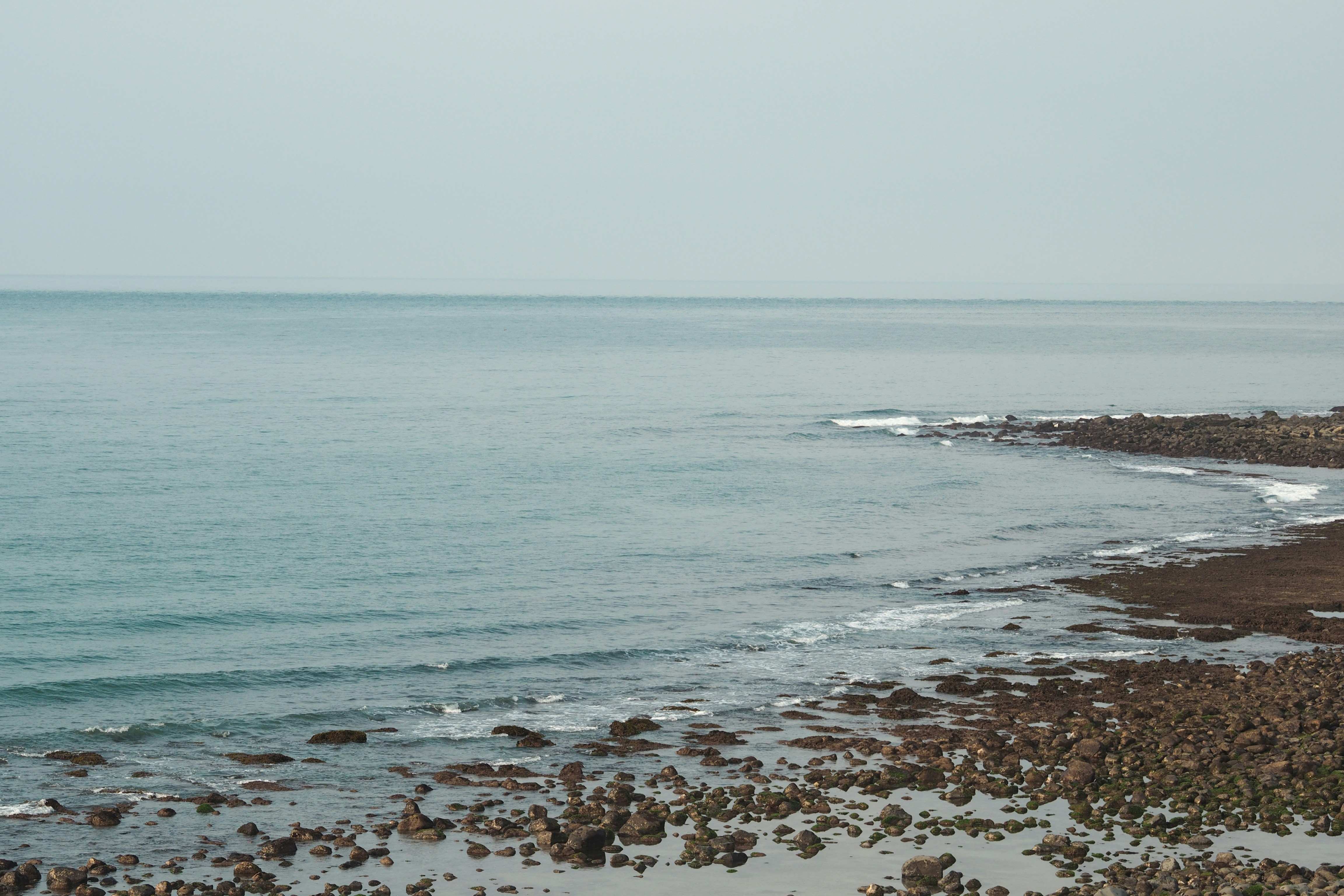 Photo by mclee