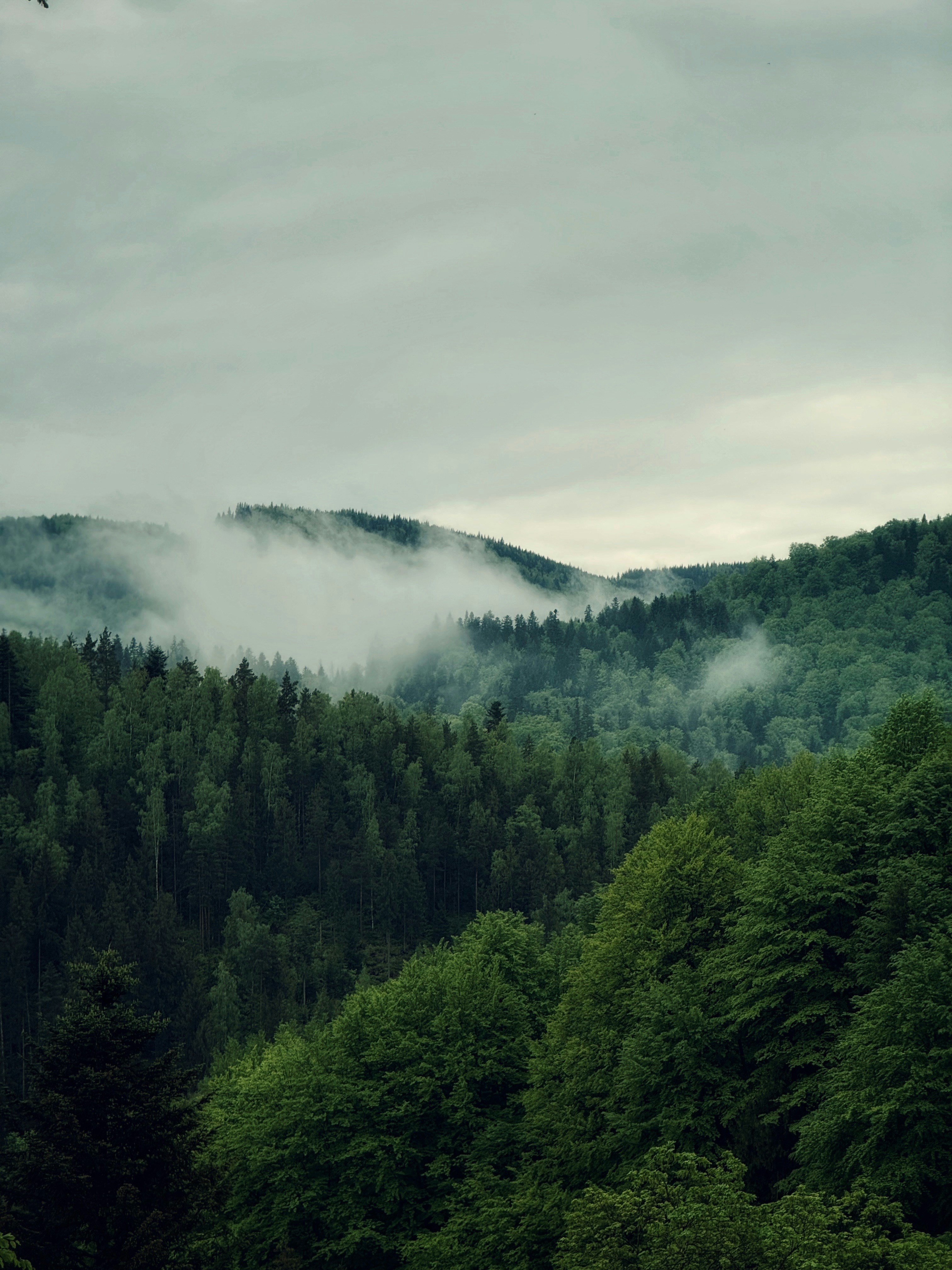 Photo by arthur_oleynik