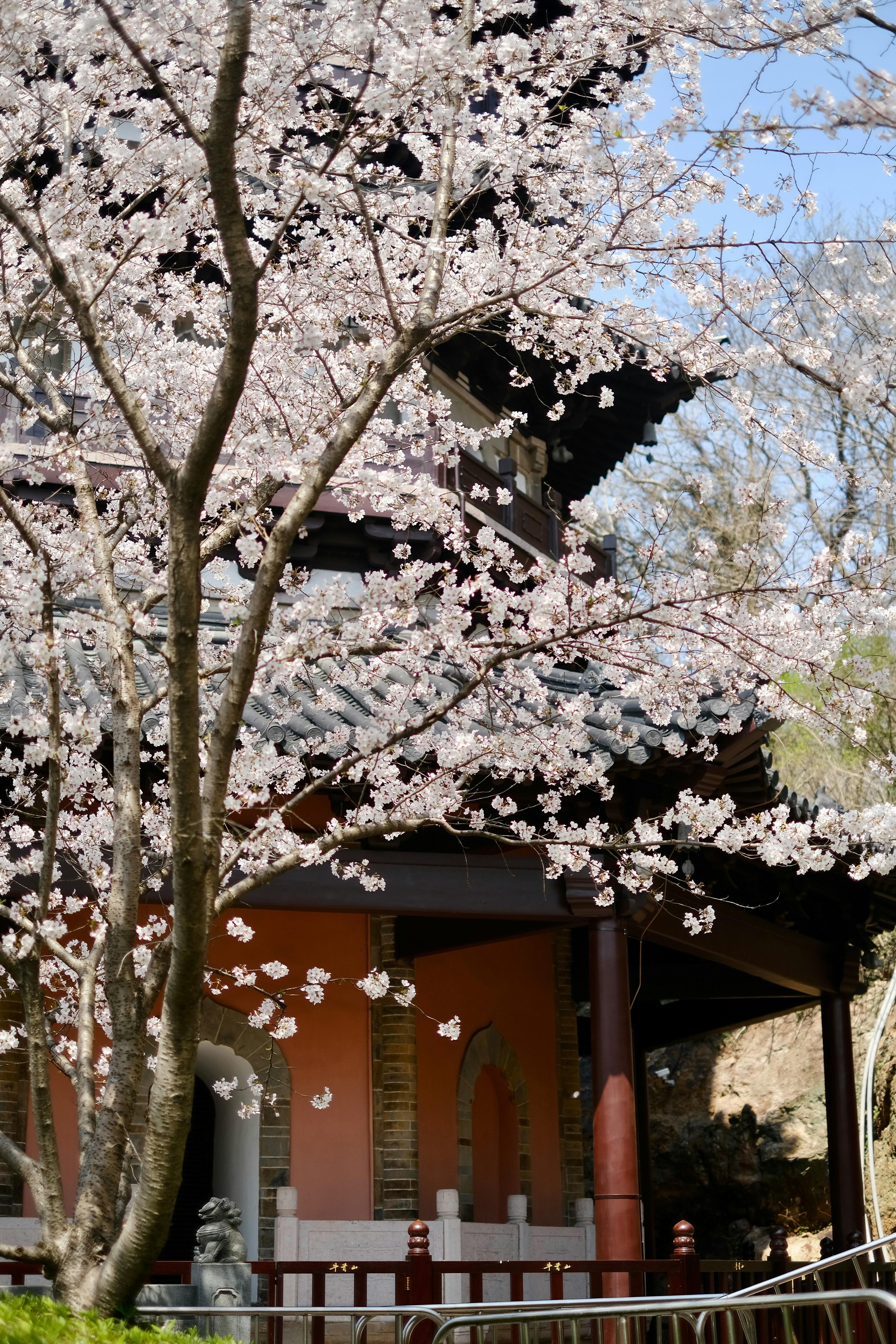 Photo by tnphanle