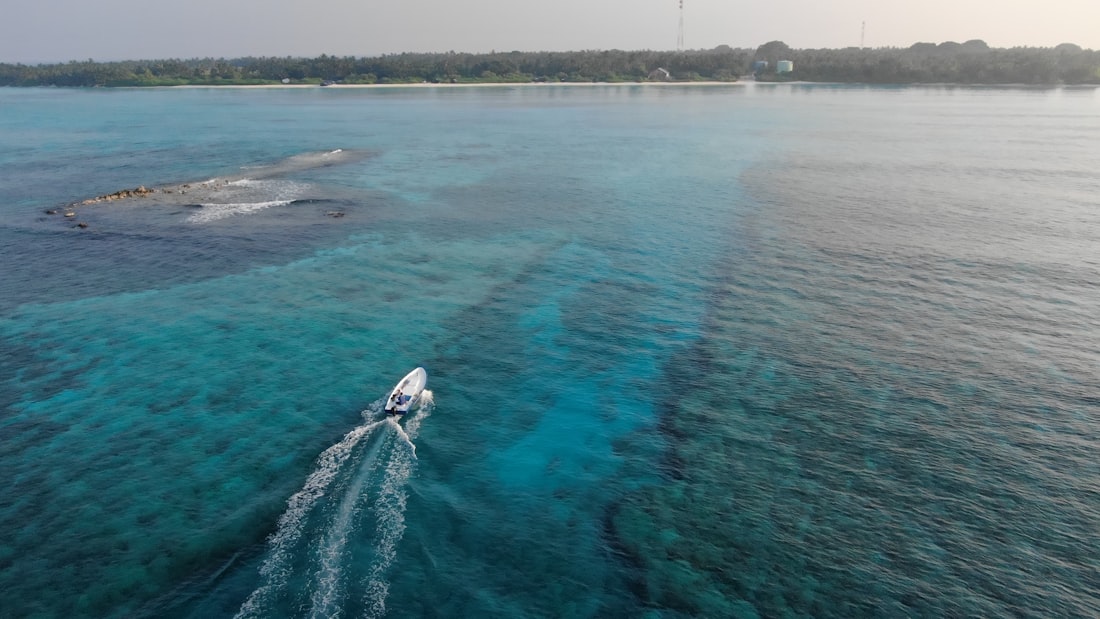 Private Speedboat