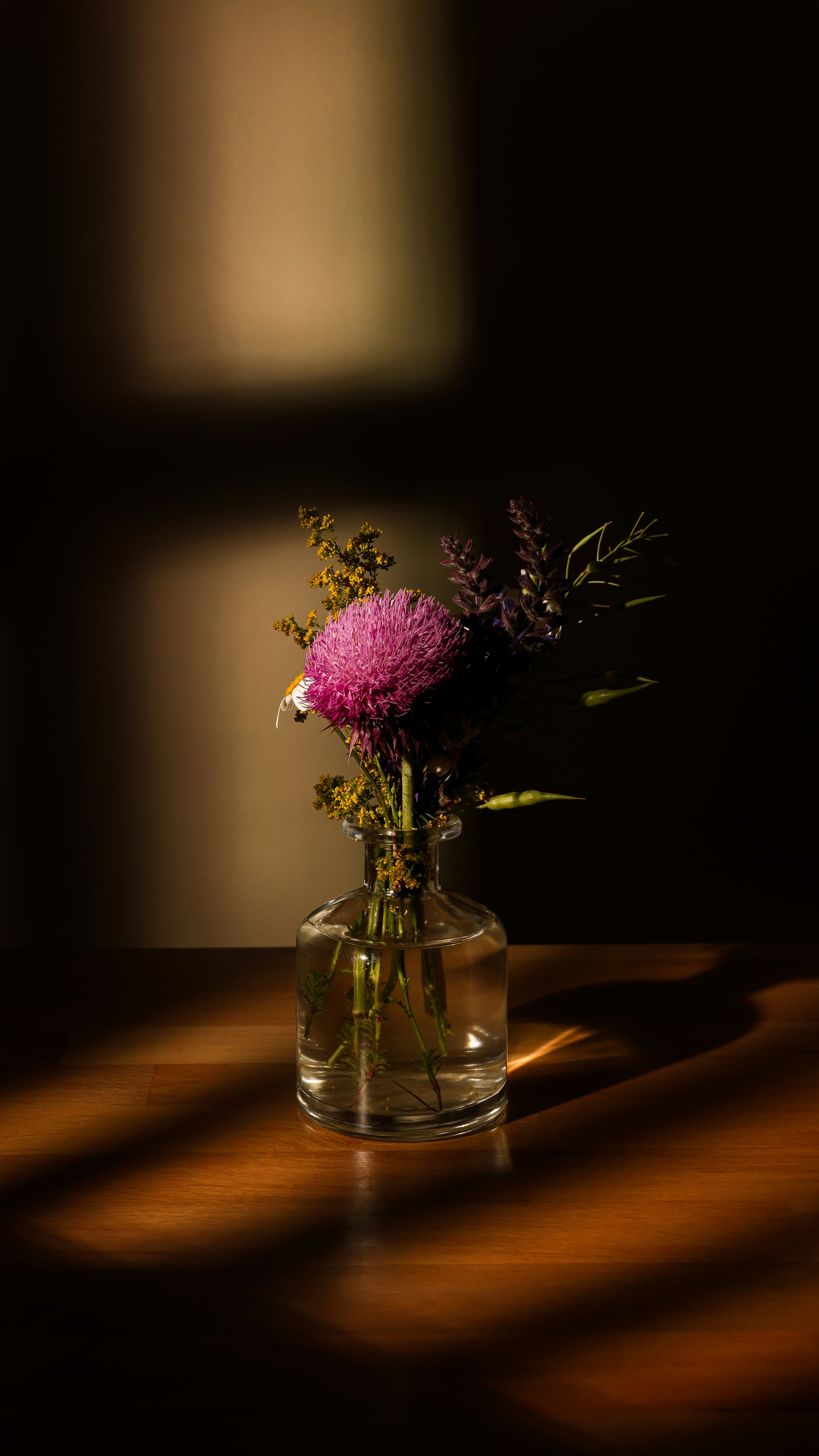 Photo by hcelmas