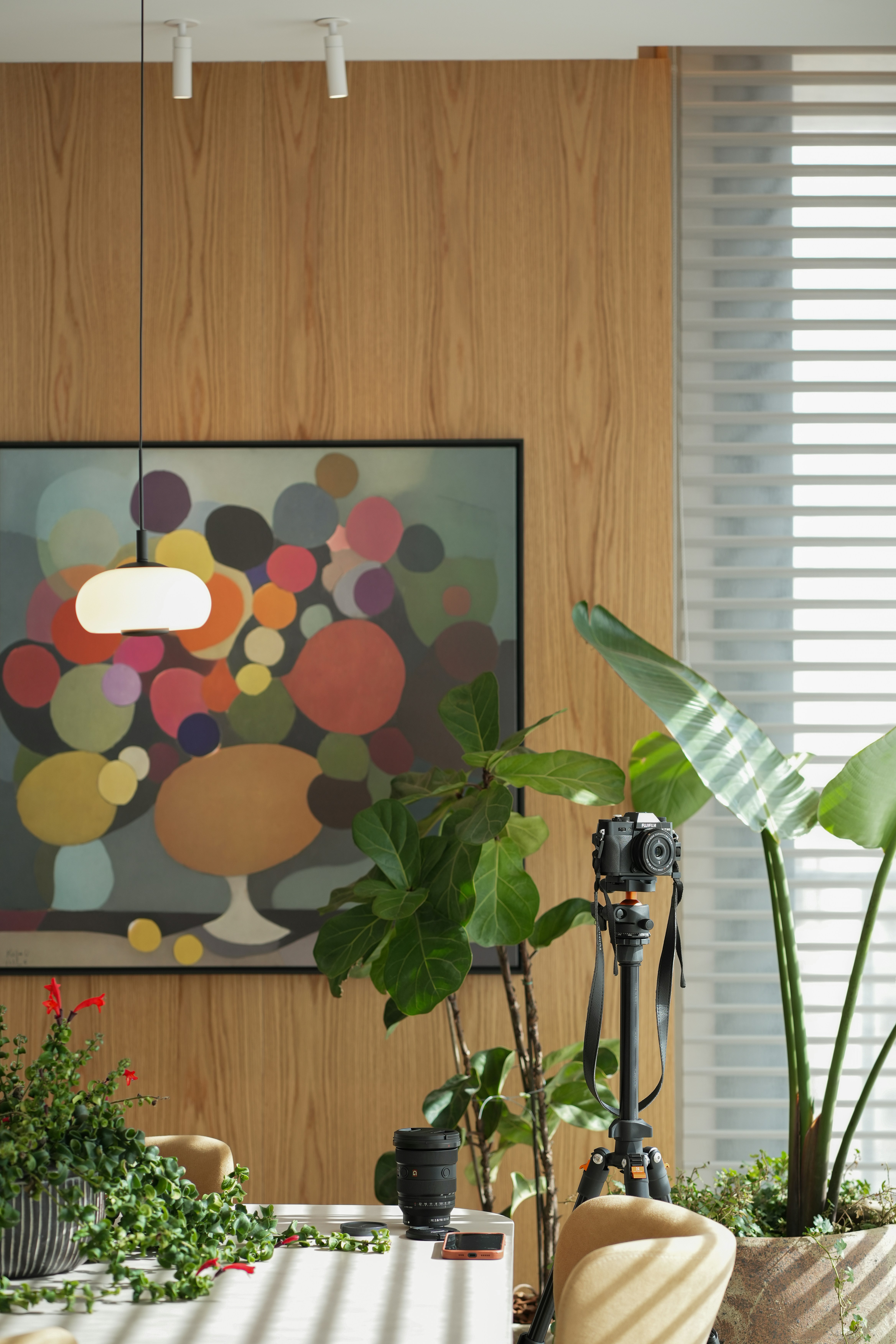 Modern interior with abstract painting, plants, and camera on tripod.
