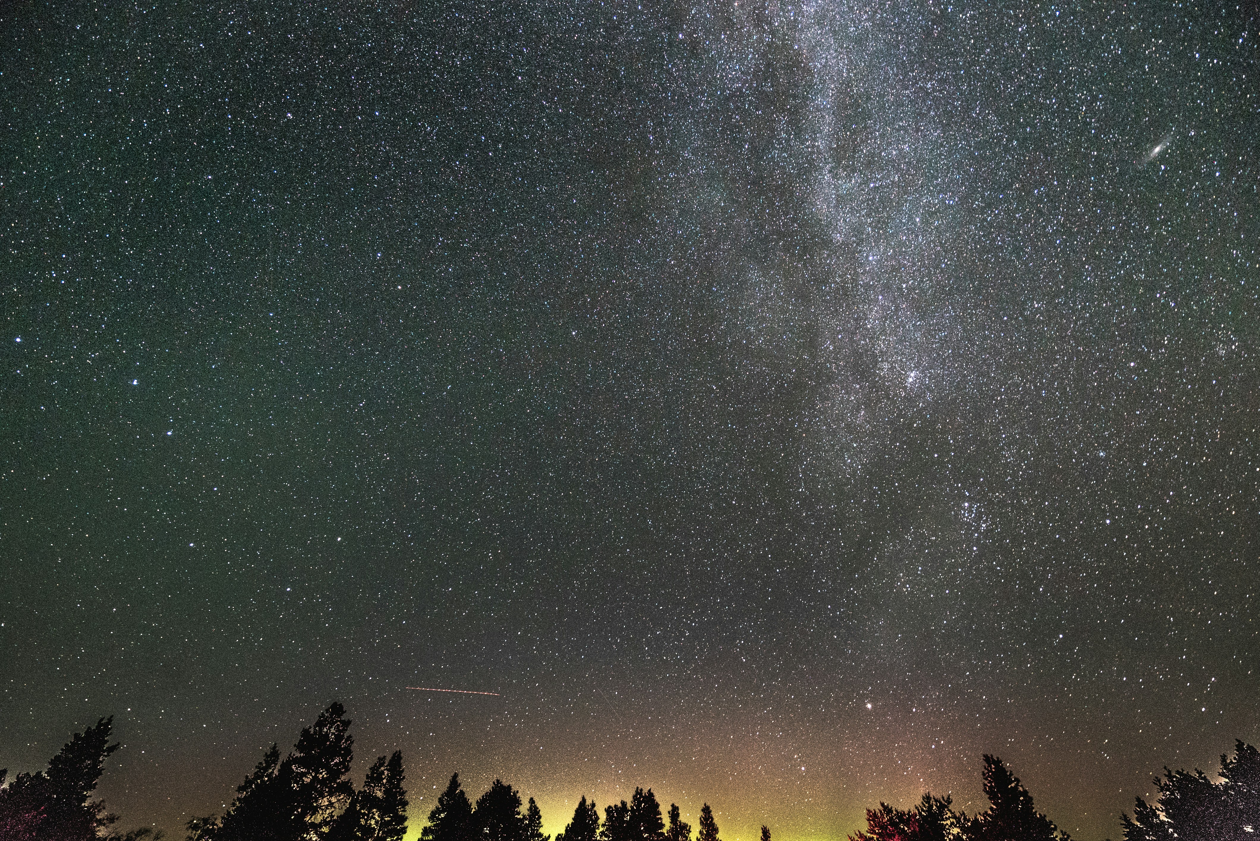 The milky way galaxy shines brightly above a dark forest.