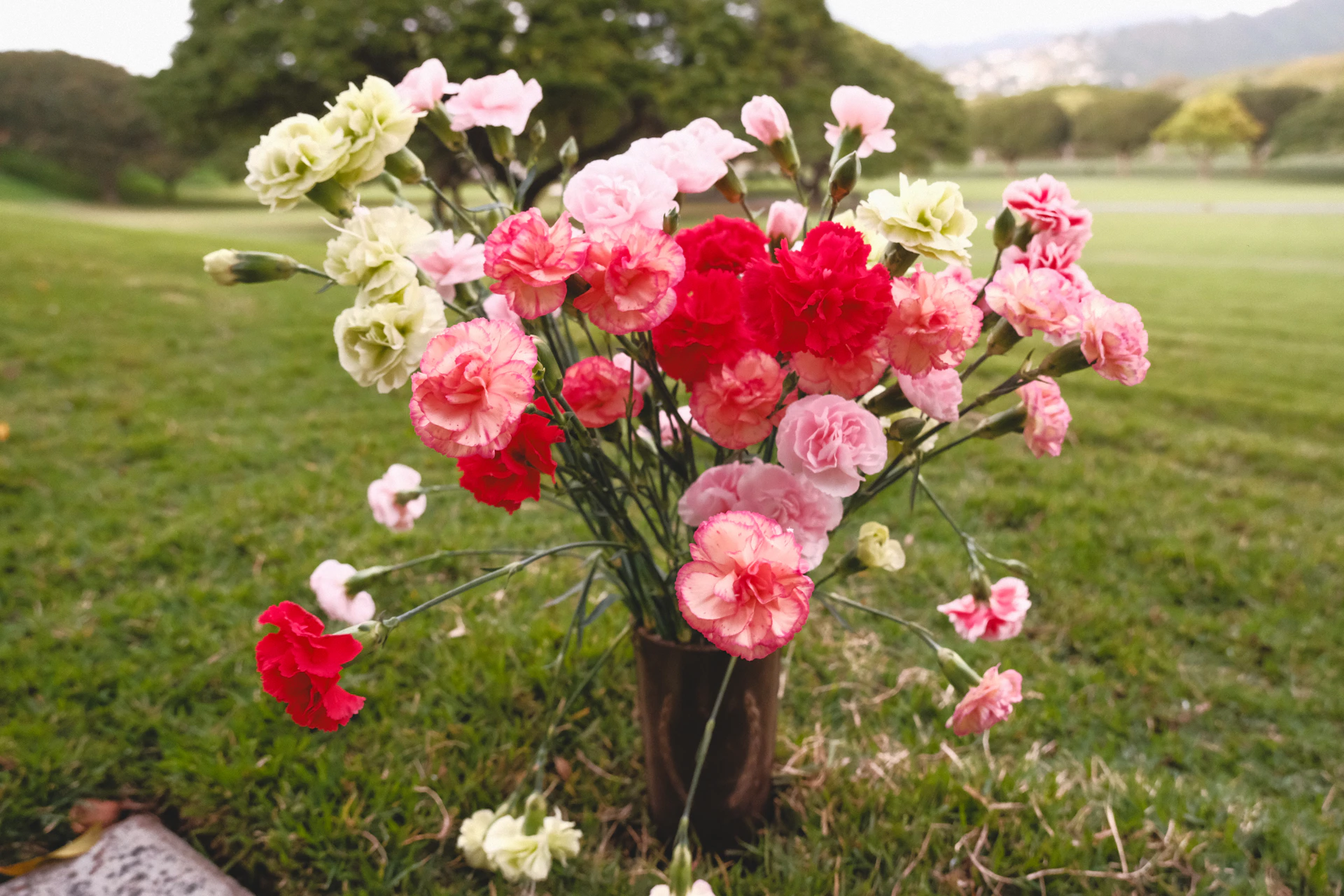 Vase of colorful carnations in green grass