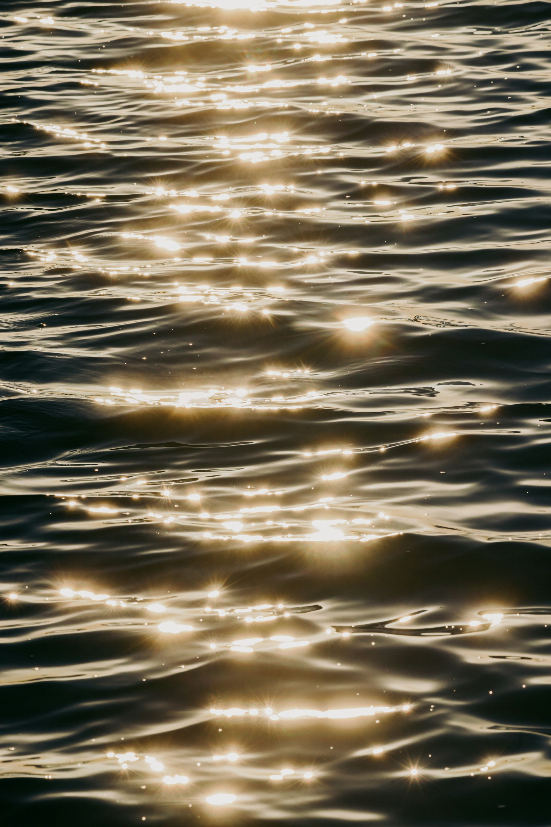 Sunlight sparkles on dark, rippling water.