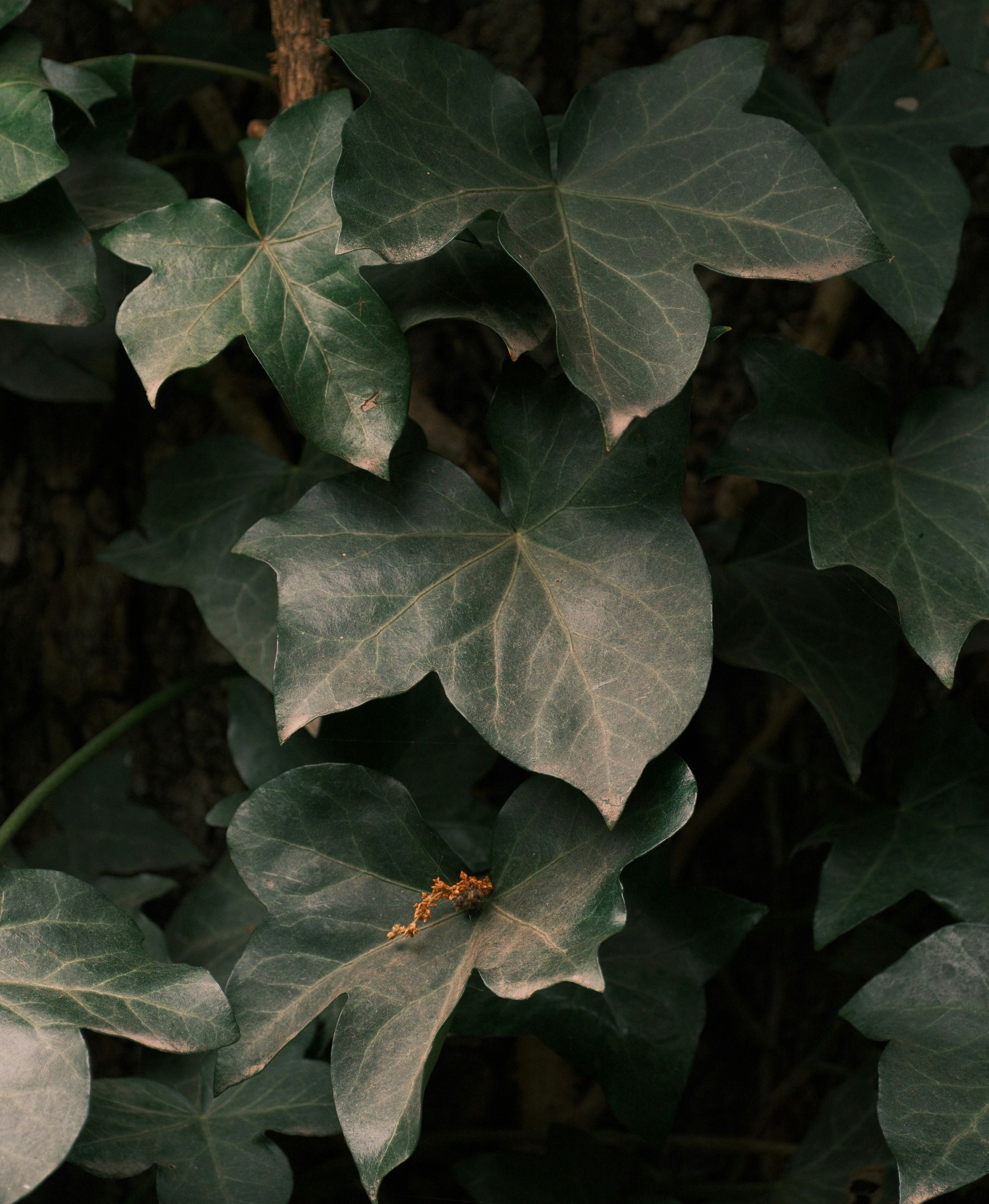 Photo by kayaarro