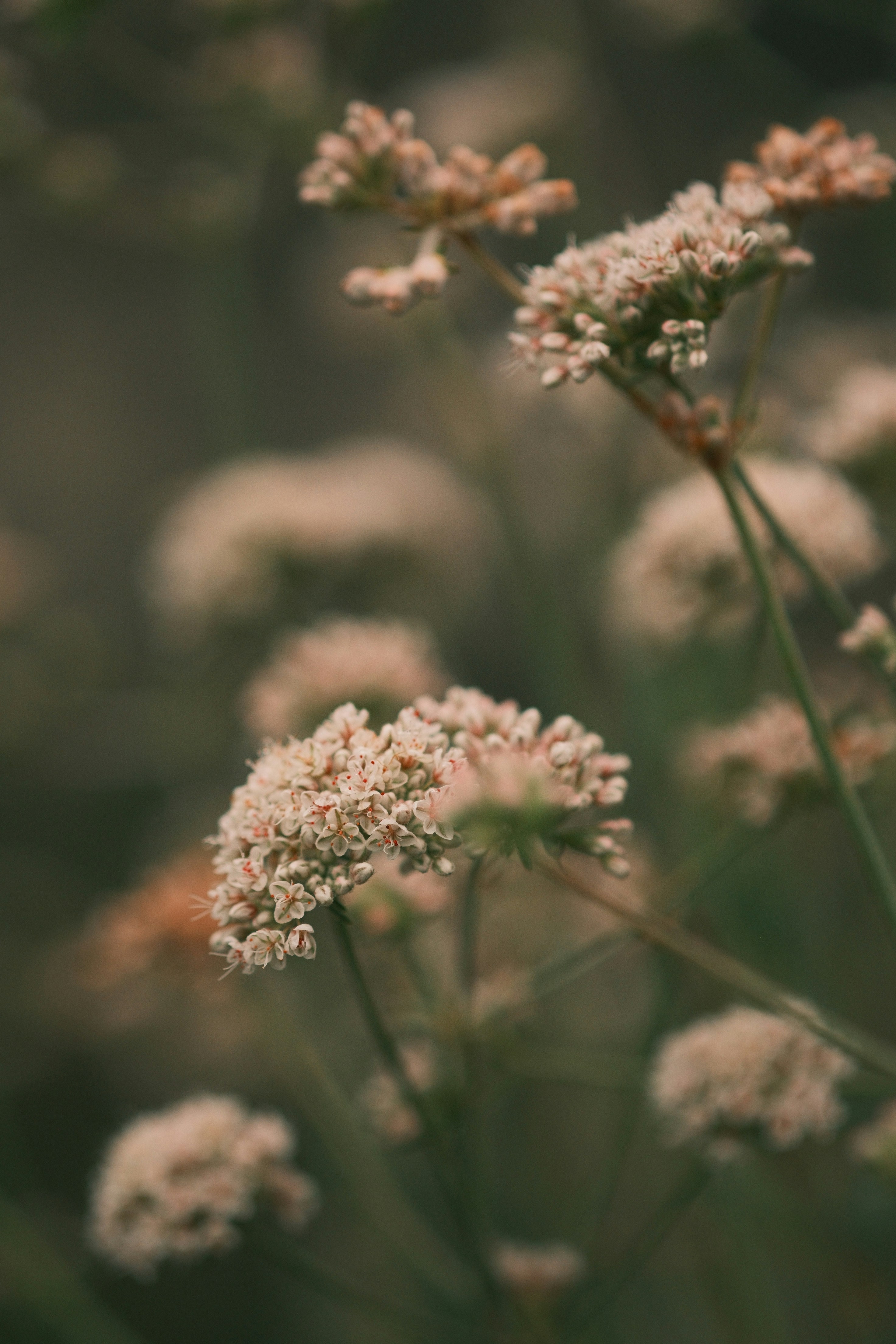 Photo by kayaarro