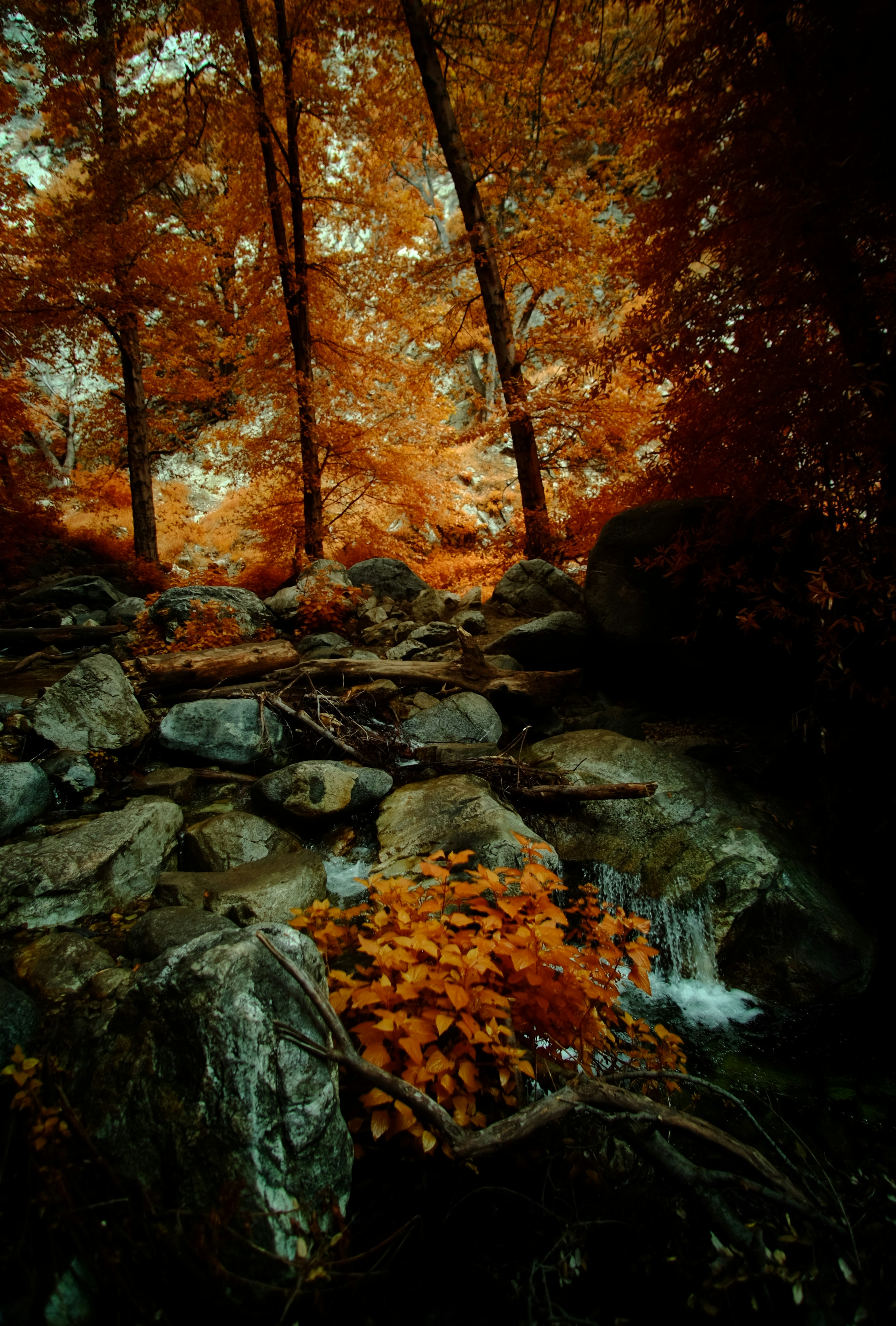 Photo by kayaarro