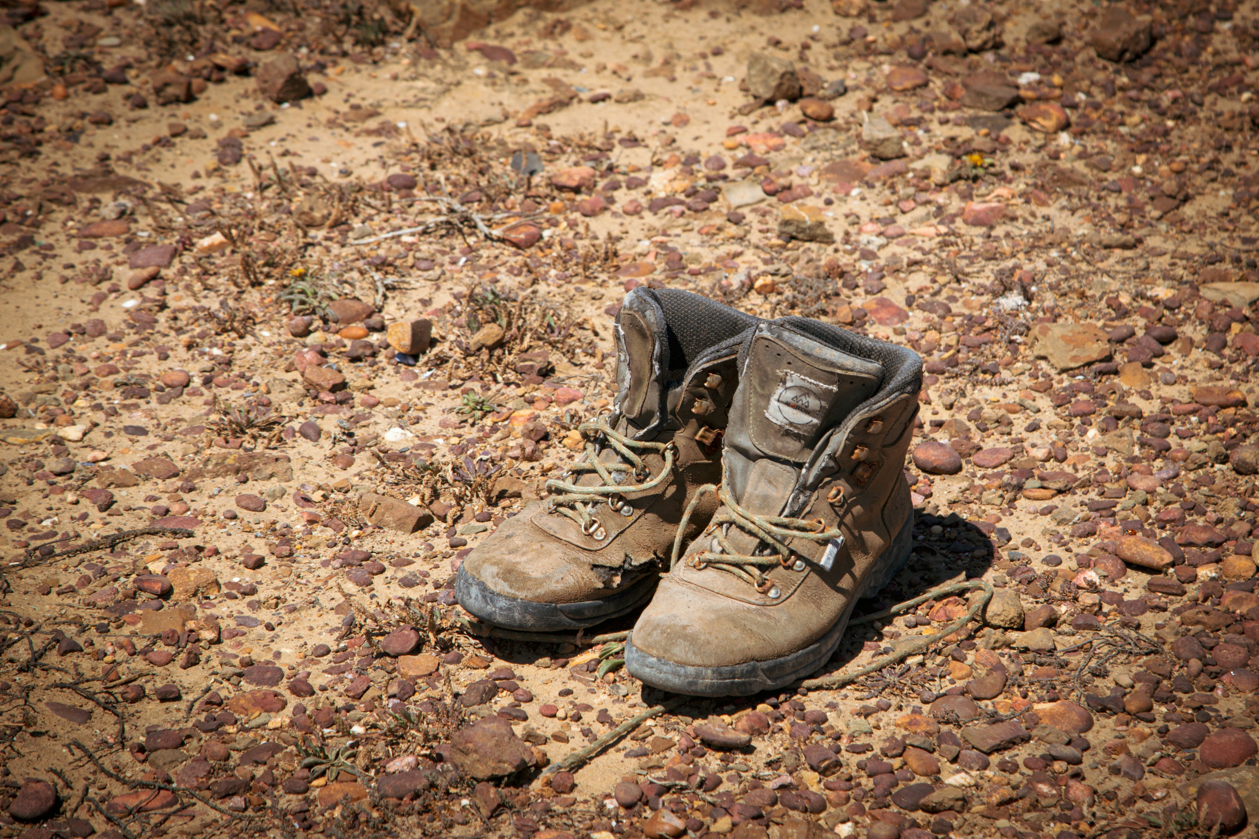 Photo by hdbernd