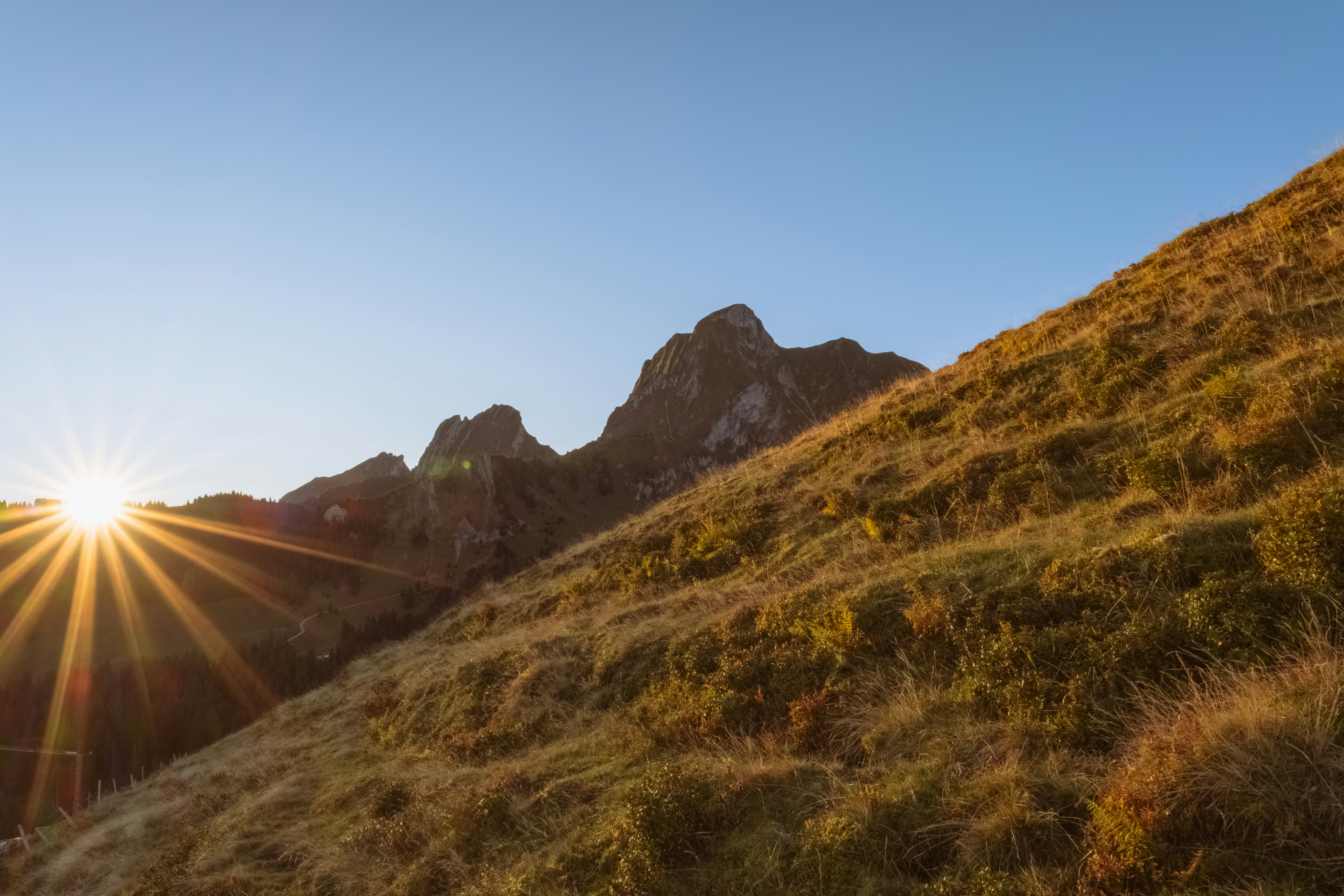 Sustainable & Eco-Friendly Videography in Los Angeles