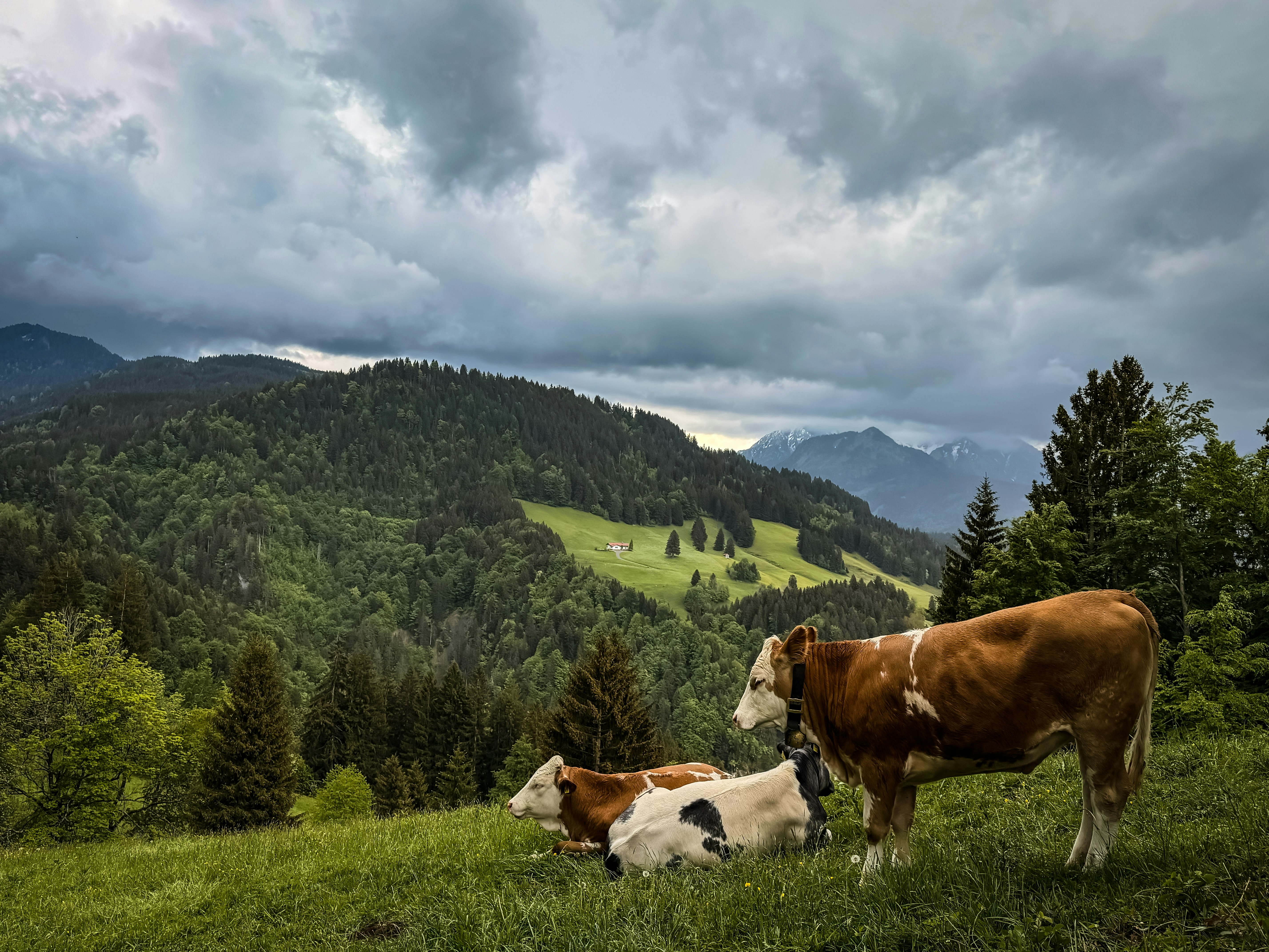 Photo by michaelkroul