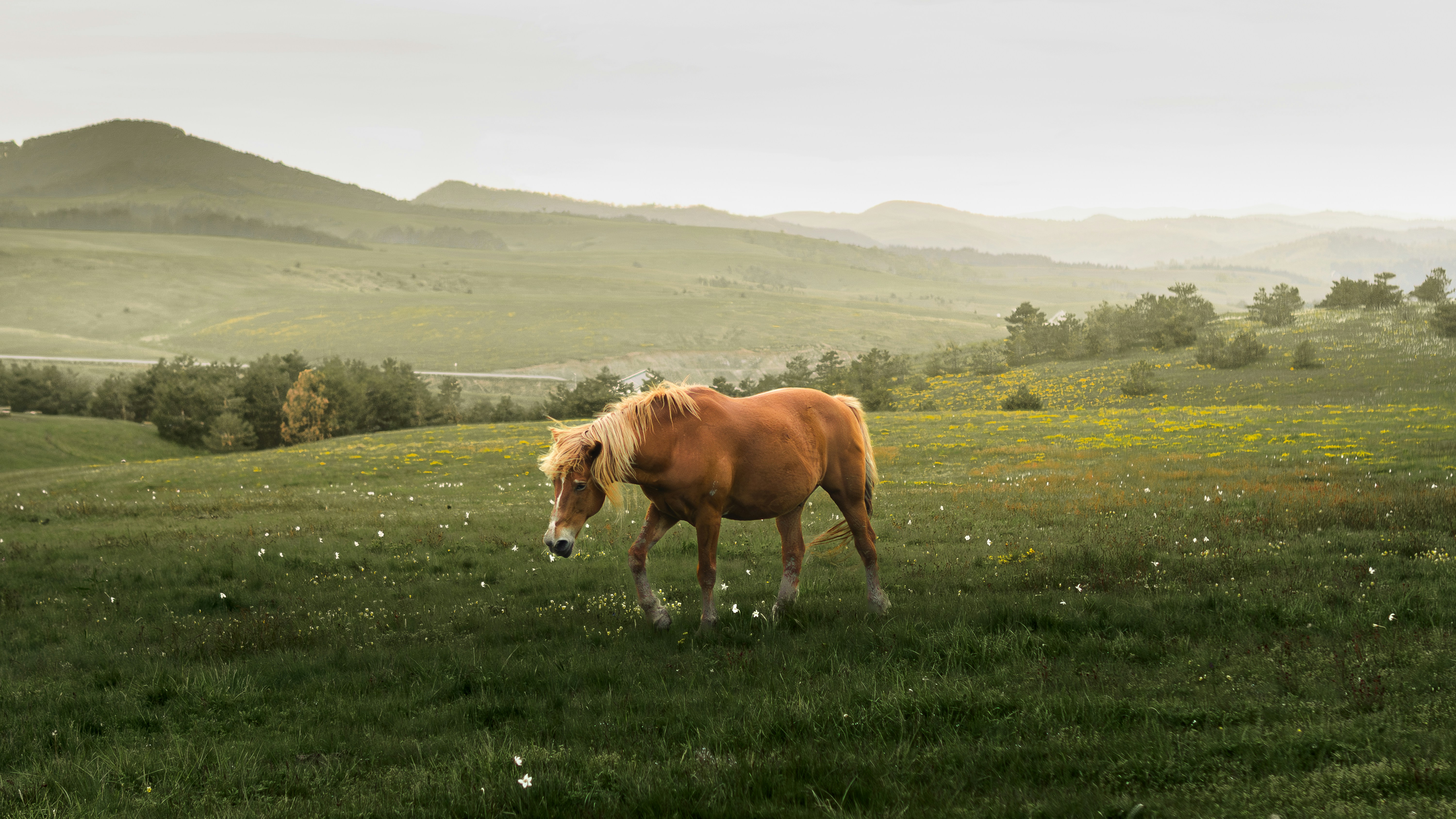 Photo by ilijavukov