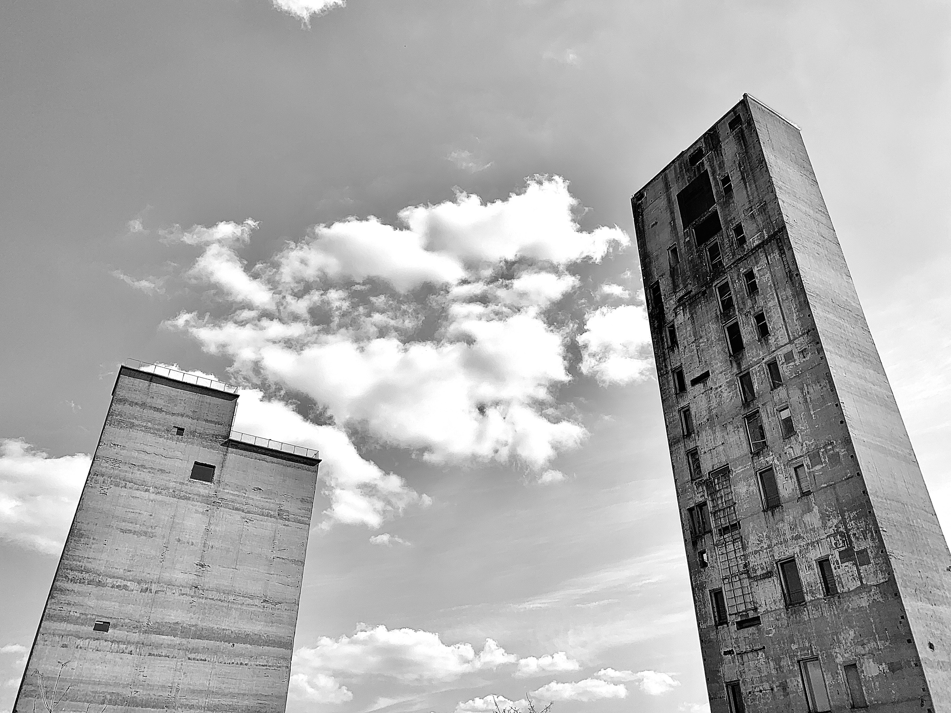 Tim Altmann (@timaltmann) | Unsplash Photo Community