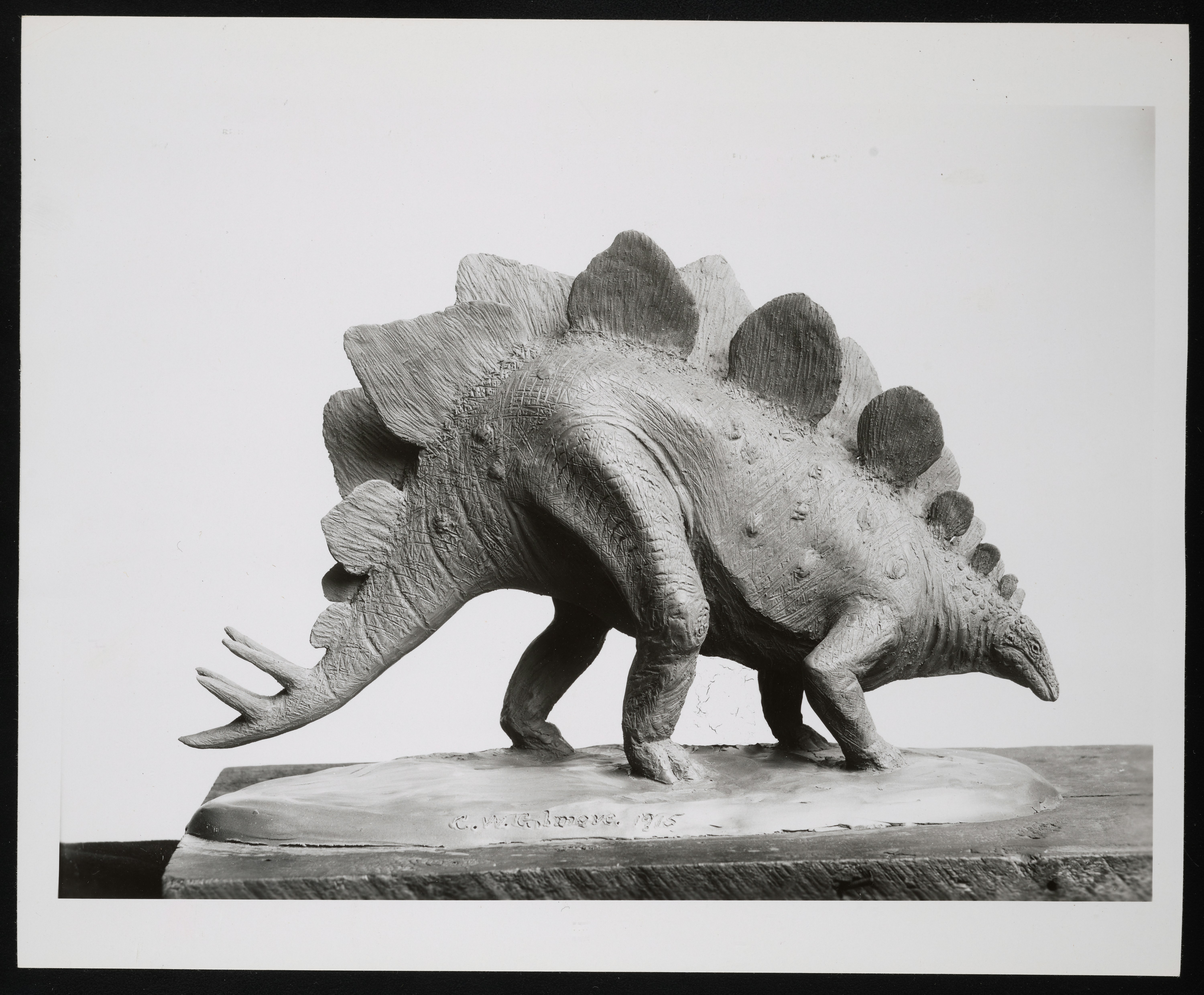 Black and white stegosaurus model on a simple display base.